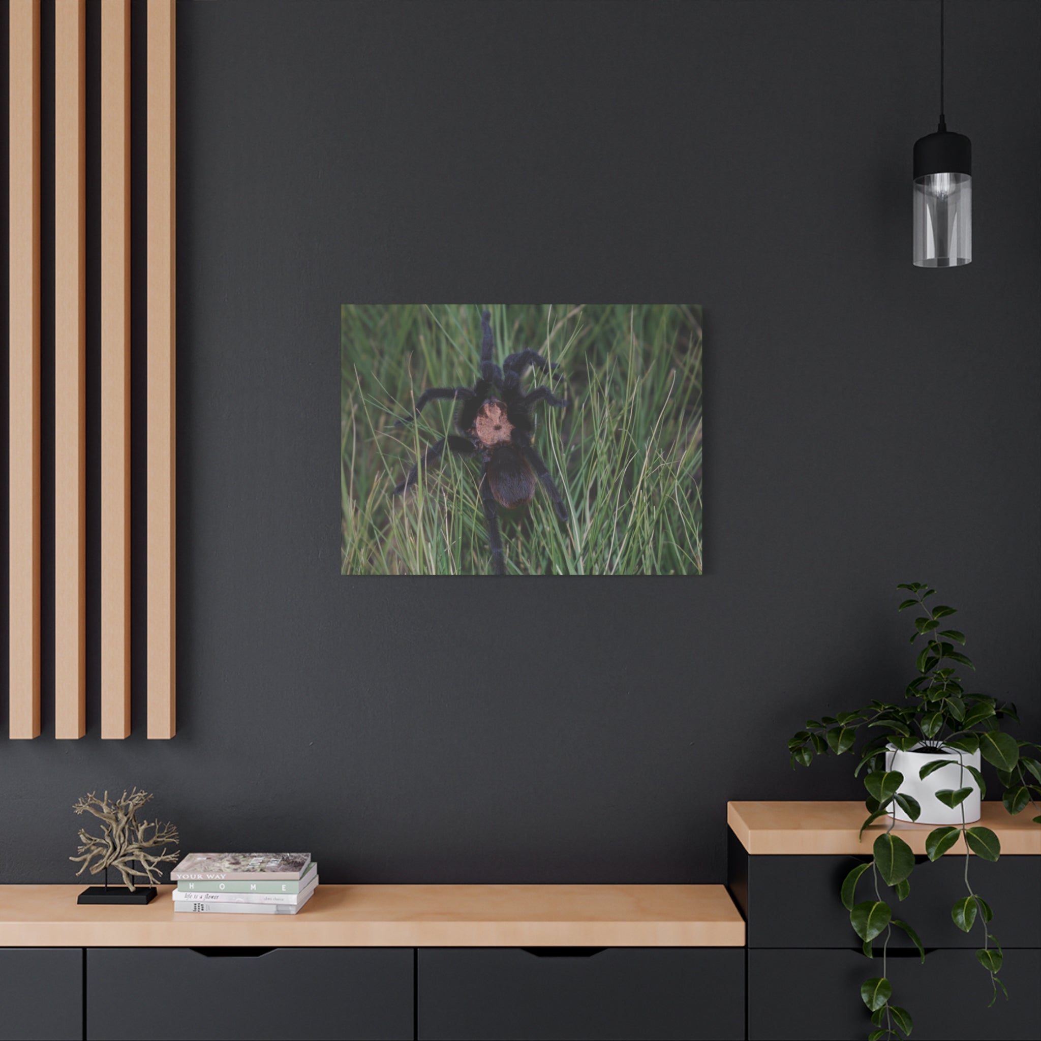 Roaming Tarantula Wall Art Canvas - Realistic Spider Photography on Matte Stretched Canvas