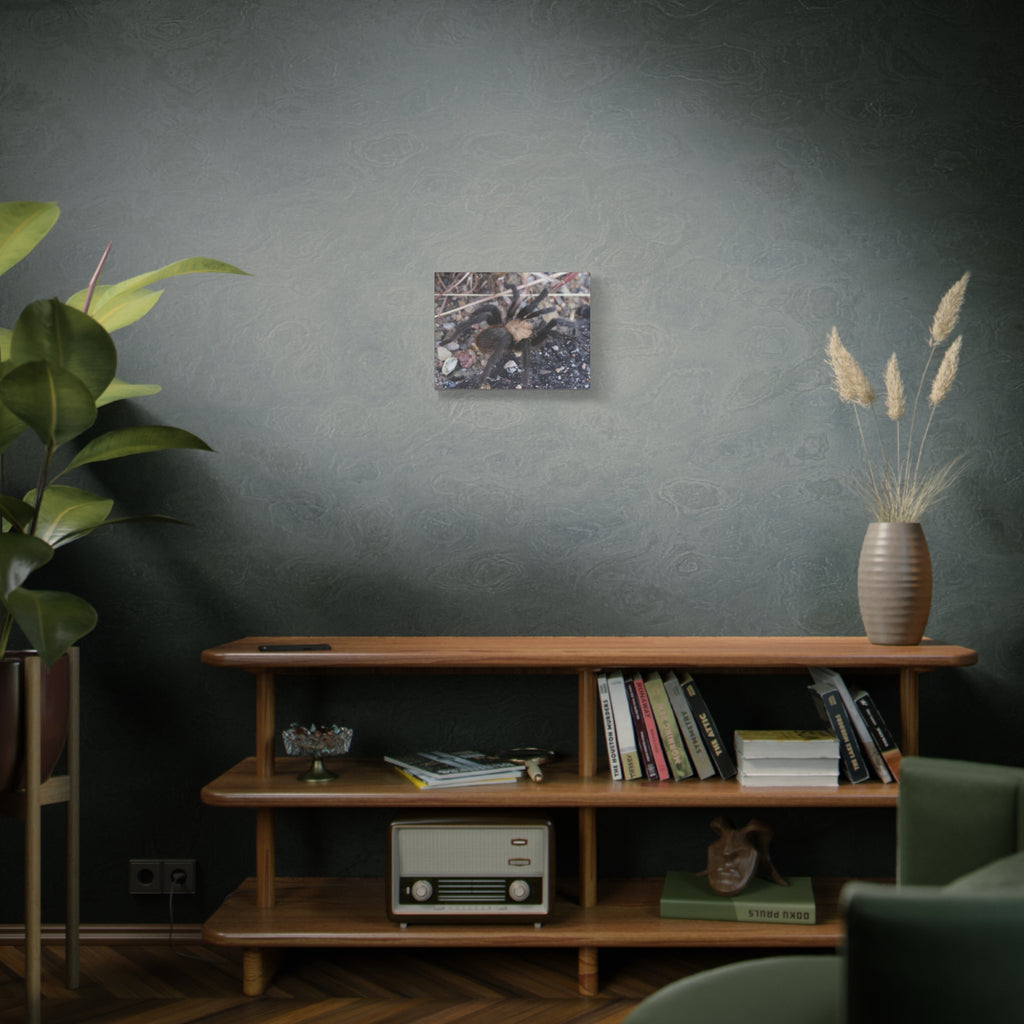 Tarantula Canvas Print — Matte Stretched Wall Art