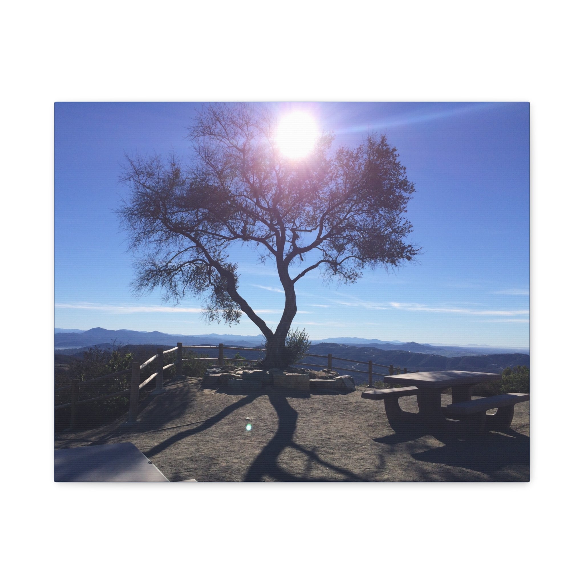 Sunlit Ridge Tree Matte Canvas Print — Scenic Landscape Wall Art