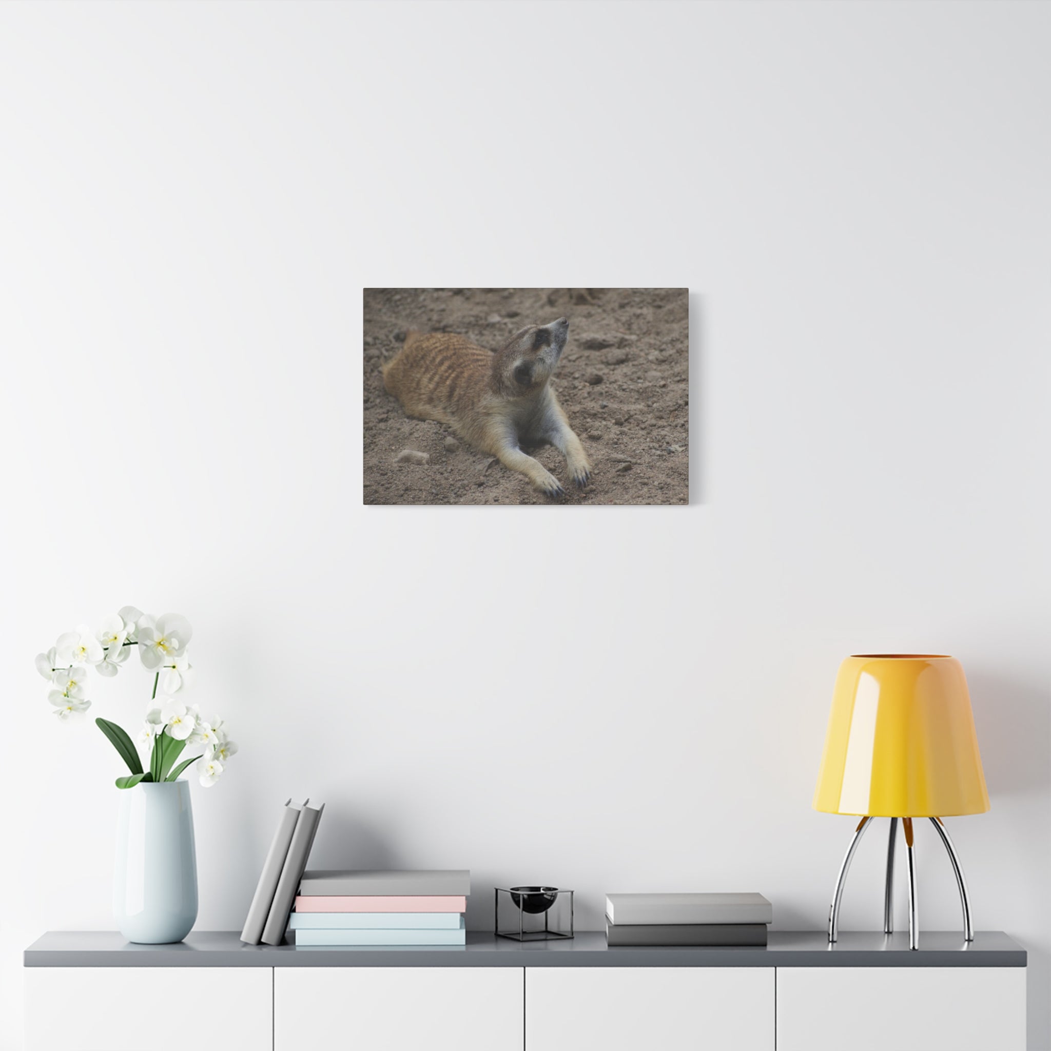 Meerkat Stretch Canvas Wall Art – Relaxed Desert Wildlife Print