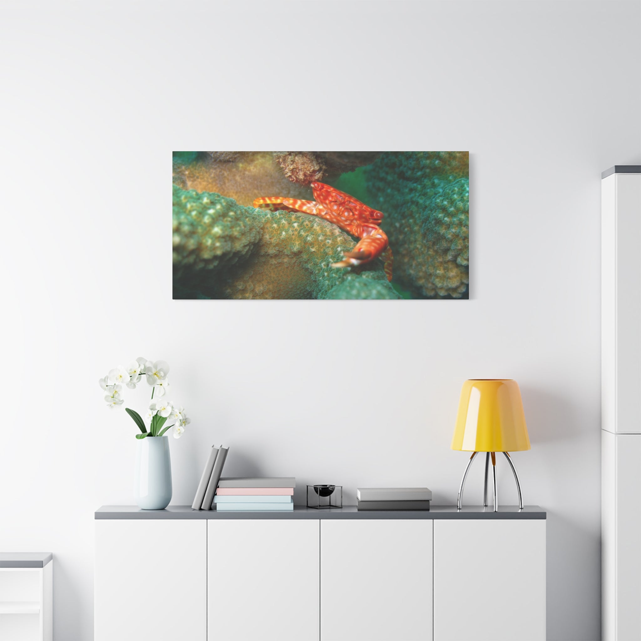 Coral Reef Crab Matte Canvas Print — Underwater Marine Wall Art