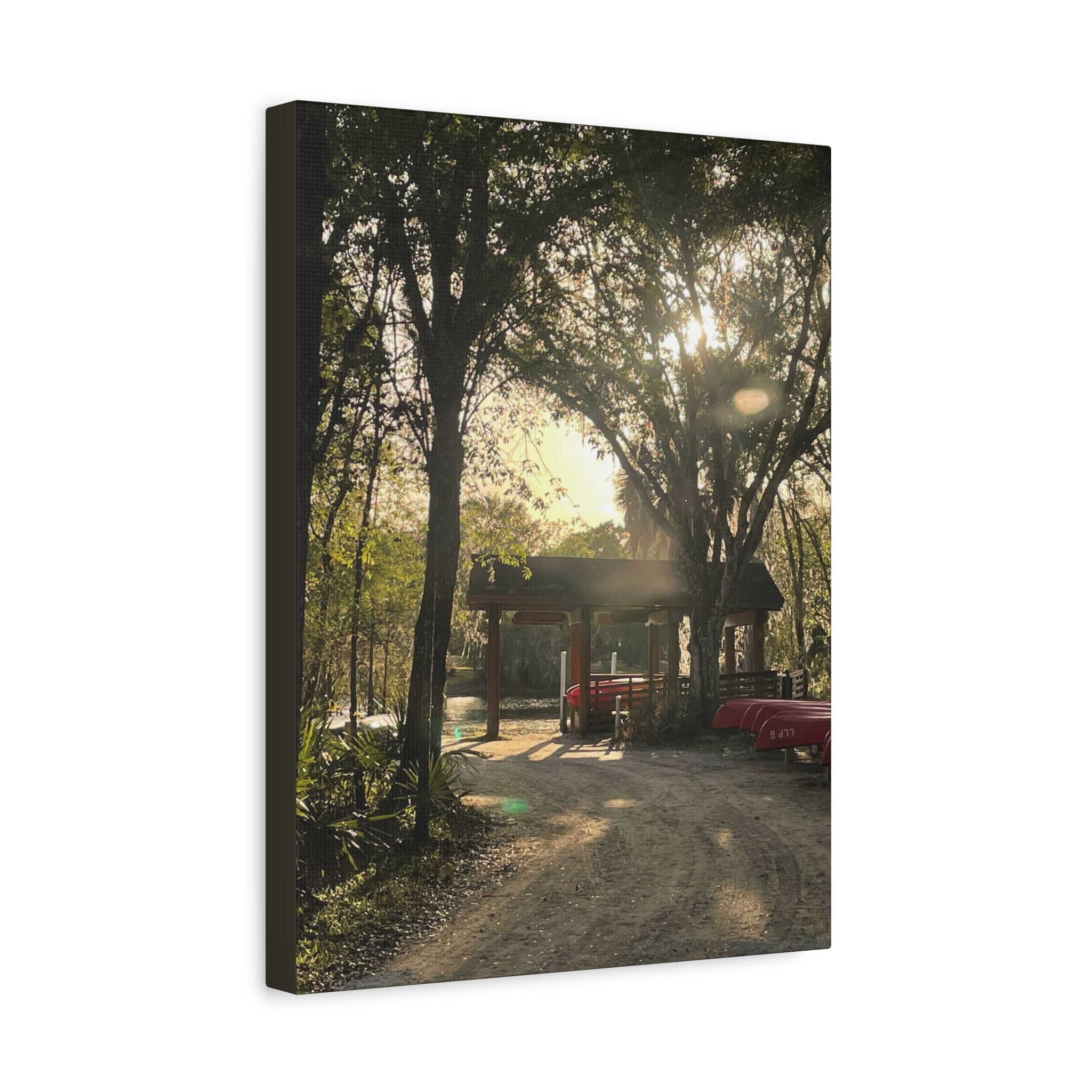 Hazy Morning Kayak - Sunlit Forest Matte Stretched Wall Art