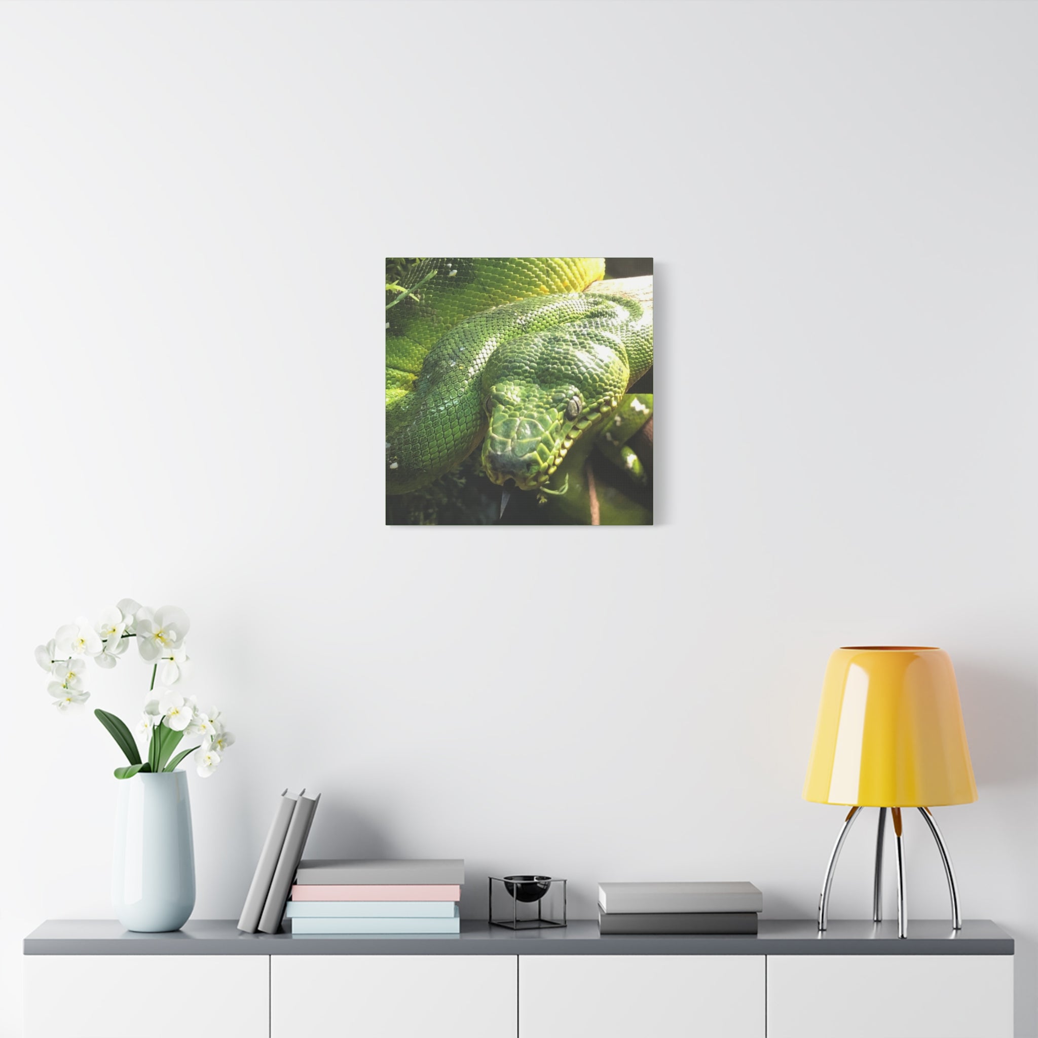Green Tree Python Canvas Print — Tropical Snake Wall Art (Matte Stretched)