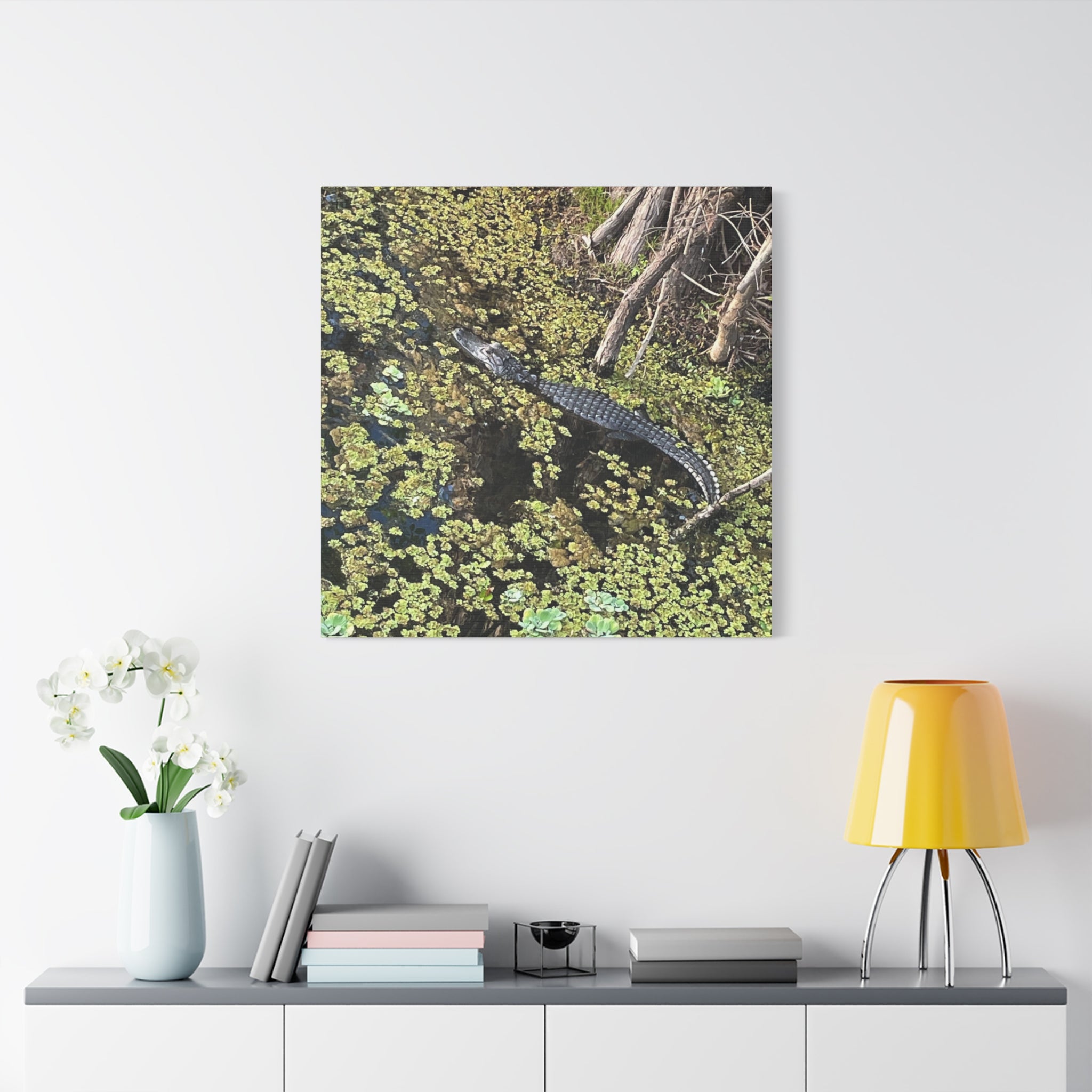 Alligator Photography Canvas Print — Matte Stretched Wall Art