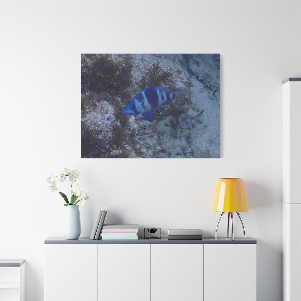 Indigo Hamlet Canvas Print — Underwater Matte Stretched Wall Art