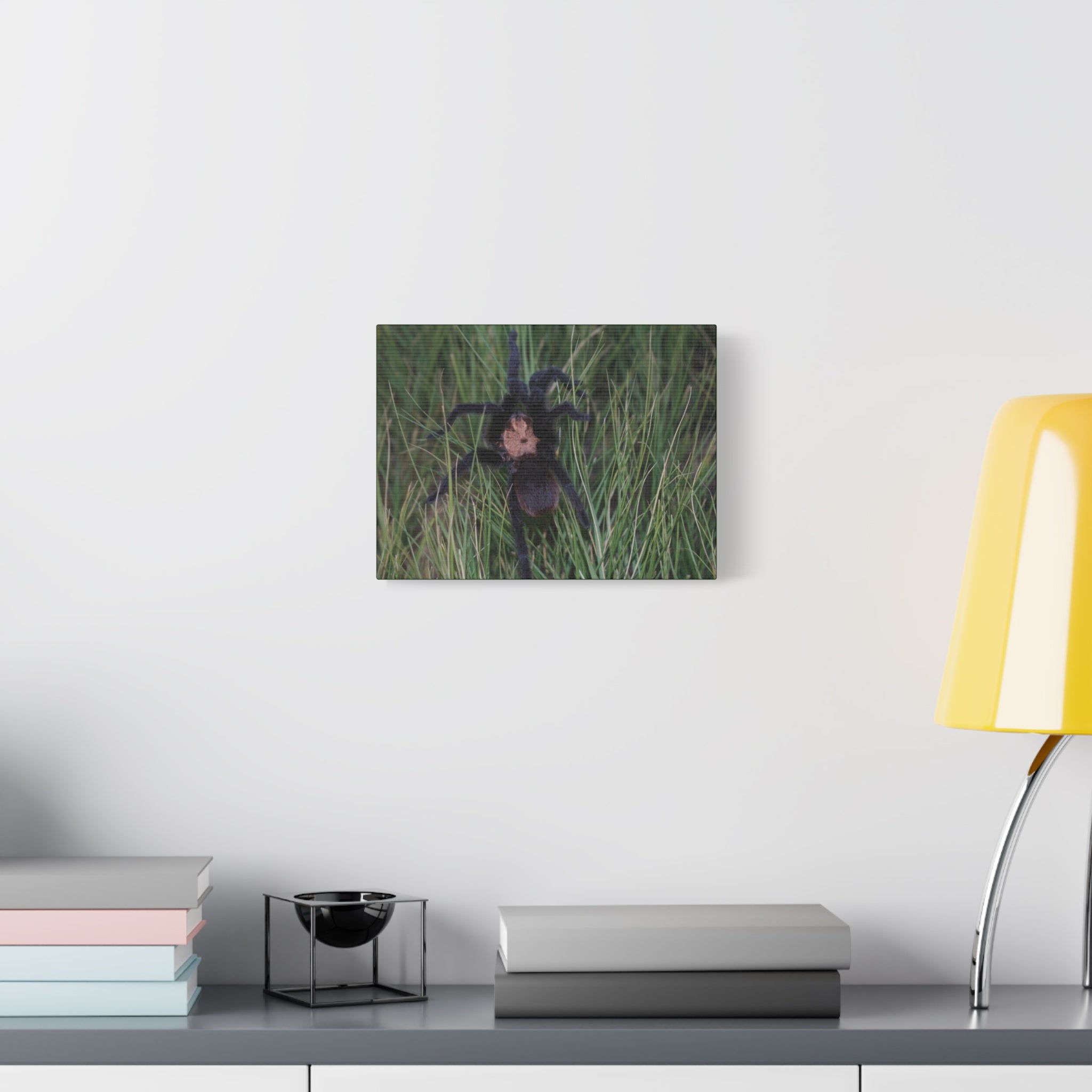 Roaming Tarantula Wall Art Canvas - Realistic Spider Photography on Matte Stretched Canvas