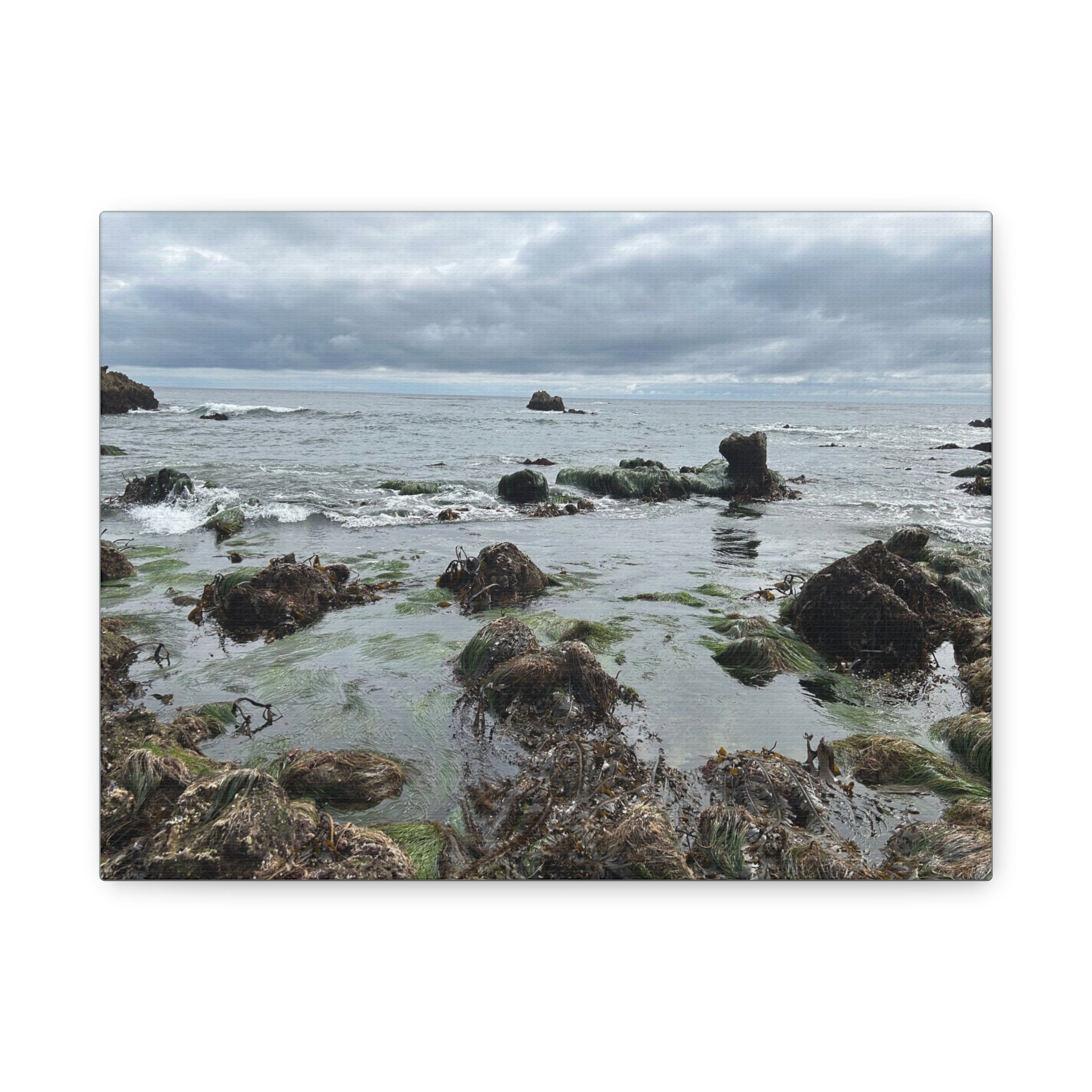 Coastal Tidepool Canvas Wall Art – Moody Gray Seashore Matte Stretched Canvas