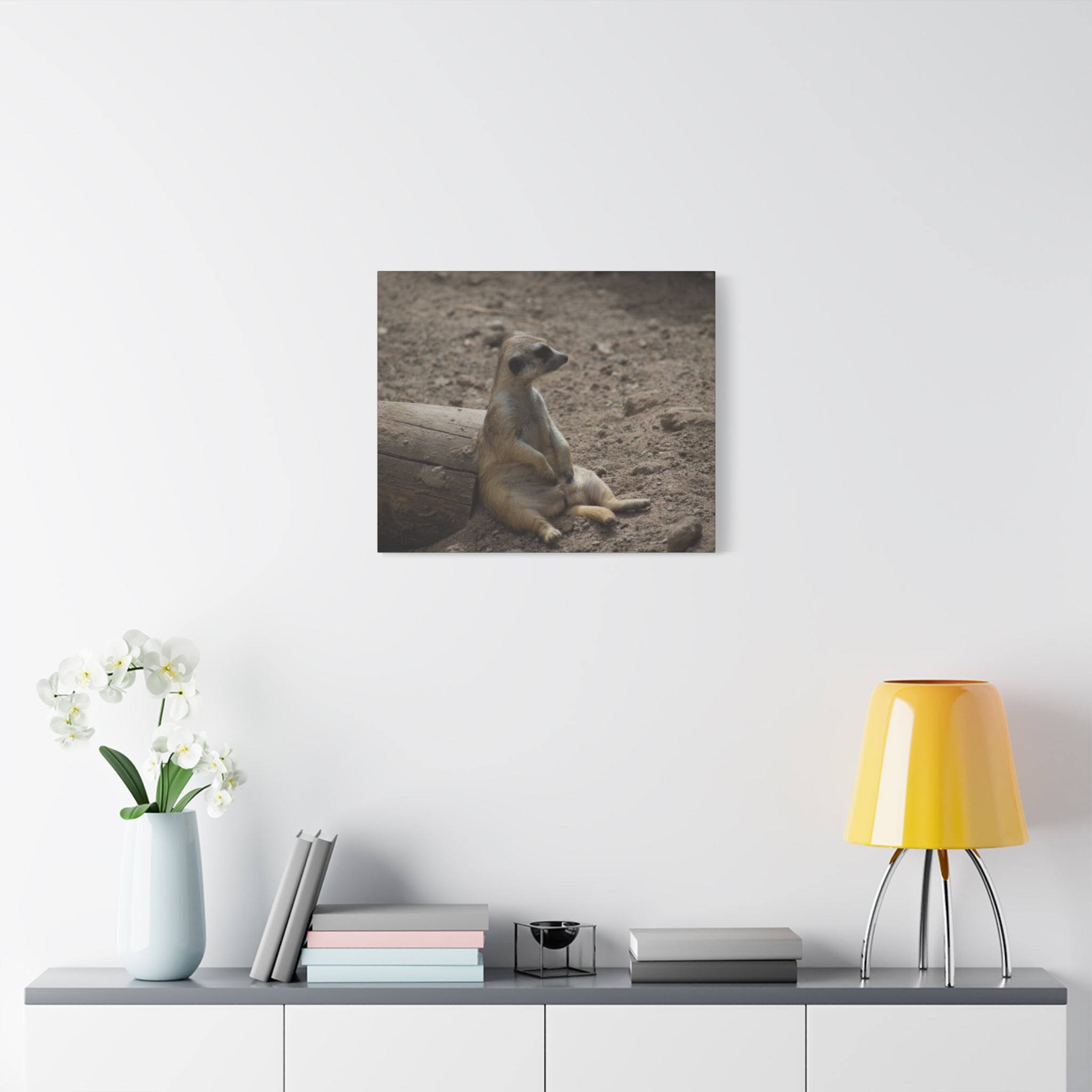 Relaxed Meerkat Matte Canvas Wall Art — Cute Animal Photo Print