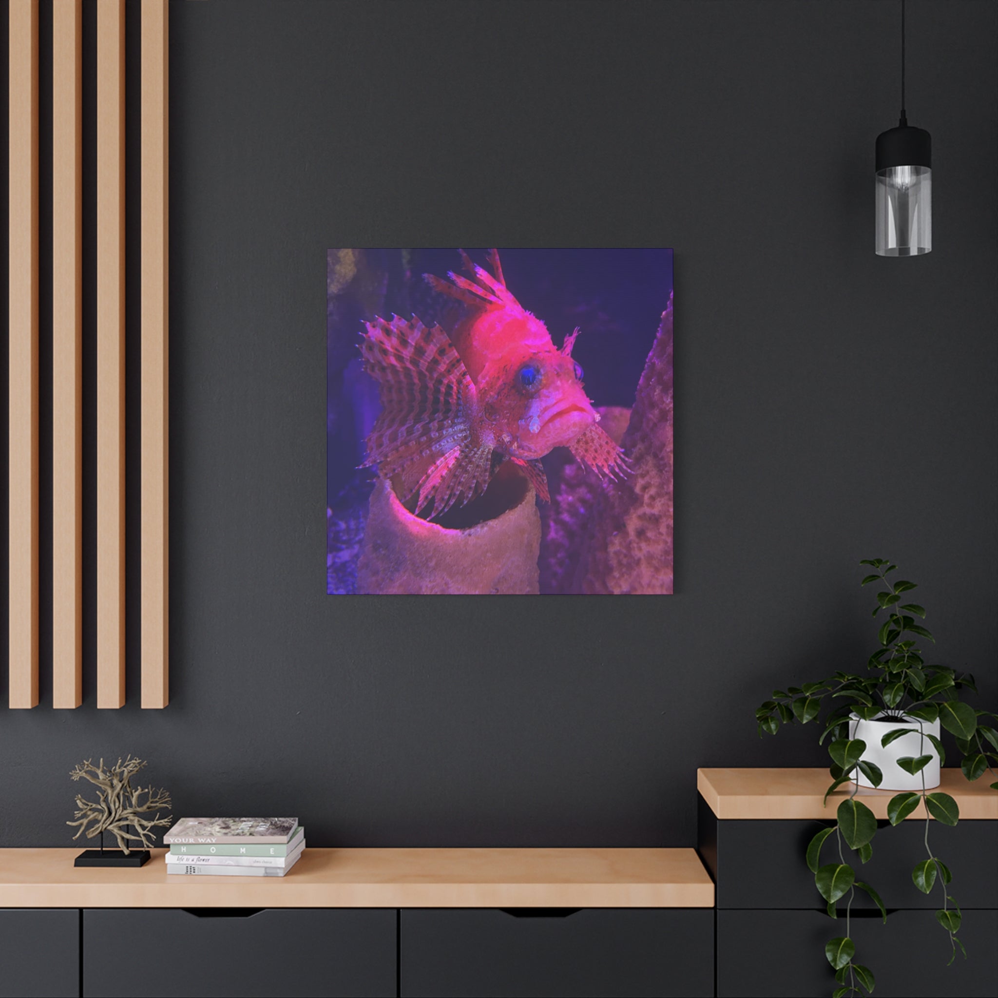 Fuzzy Dwarf Lionfish Canvas Print — Vibrant Marine Wall Art (1.25" Stretched)