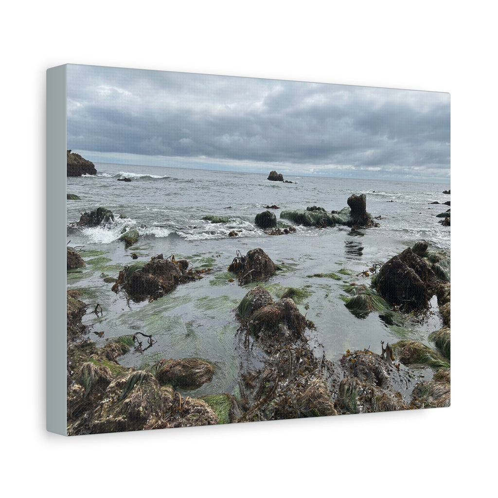 Coastal Tidepool Canvas Wall Art – Moody Gray Seashore Matte Stretched Canvas