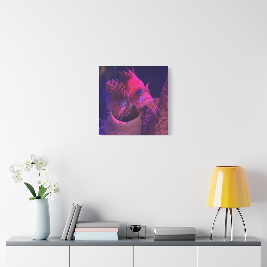 Fuzzy Dwarf Lionfish Canvas Print — Vibrant Marine Wall Art (1.25" Stretched)