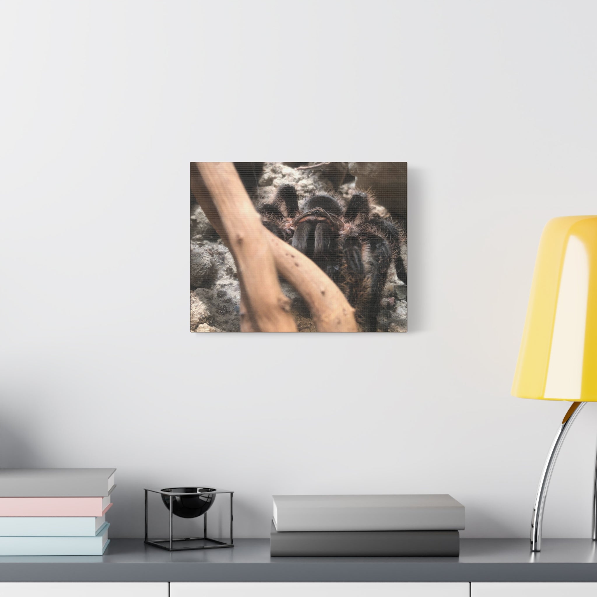Tarantula Staredown Matte Canvas Print — Naturalistic Arachnid Wall Art