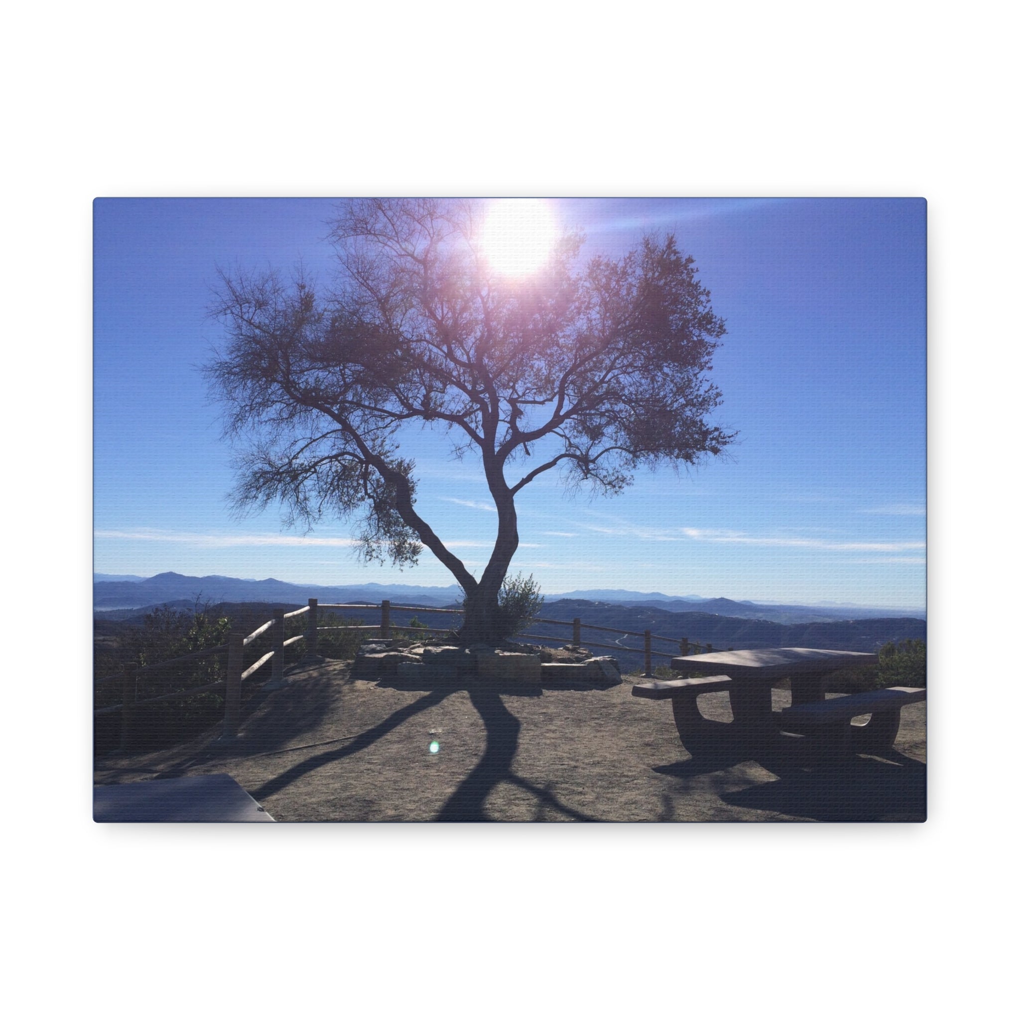 Sunlit Ridge Tree Matte Canvas Print — Scenic Landscape Wall Art