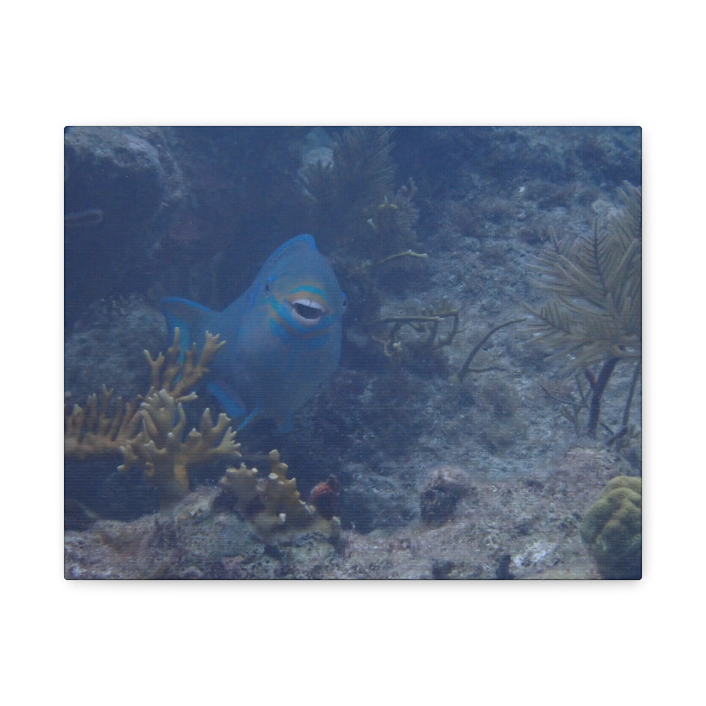 Underwater Parrotfish Canvas Print — Tropical Reef Wall Art