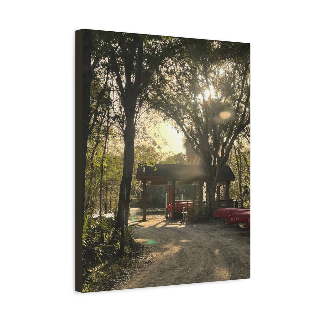 Hazy Morning Kayak - Sunlit Forest Matte Stretched Wall Art