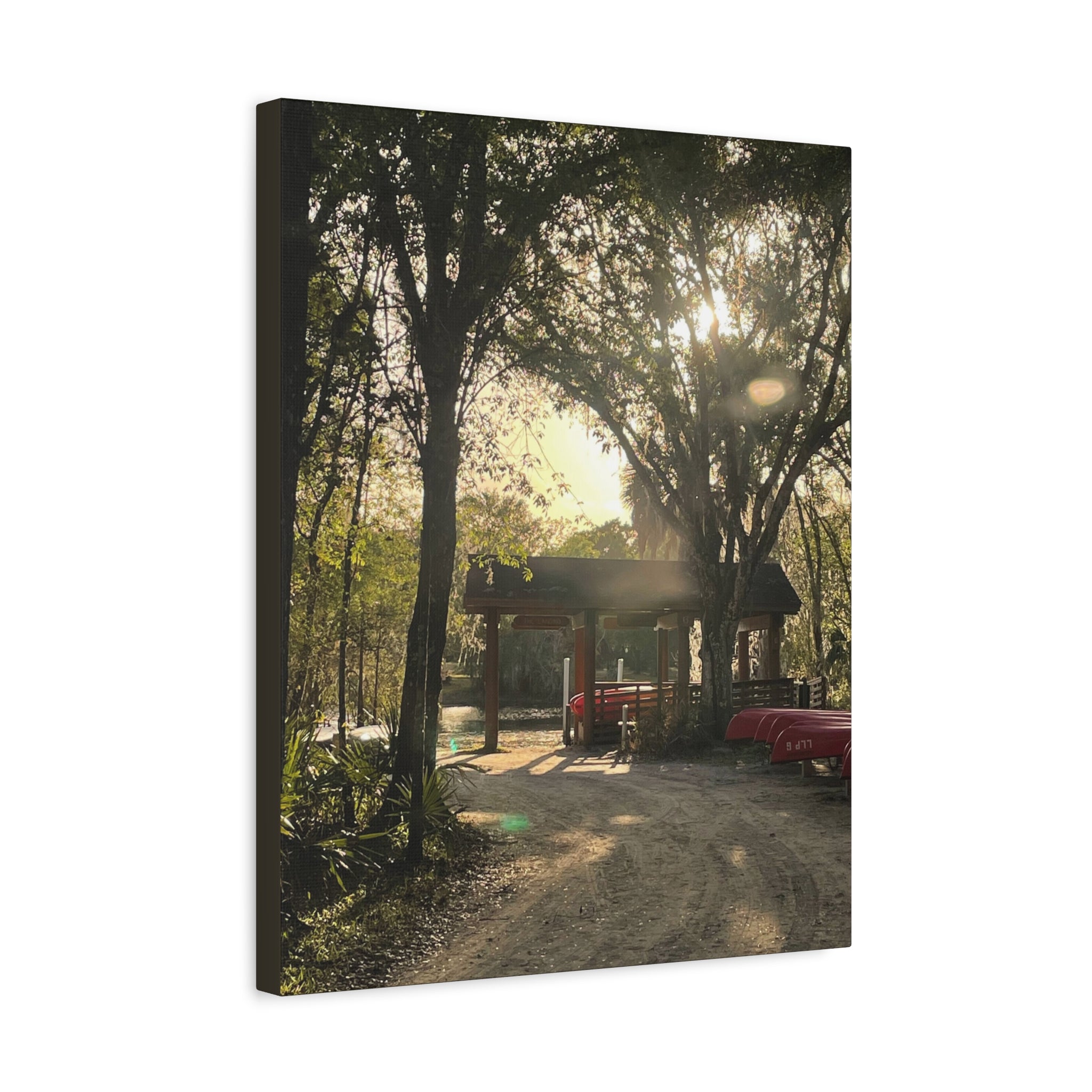 Hazy Morning Kayak - Sunlit Forest Matte Stretched Wall Art
