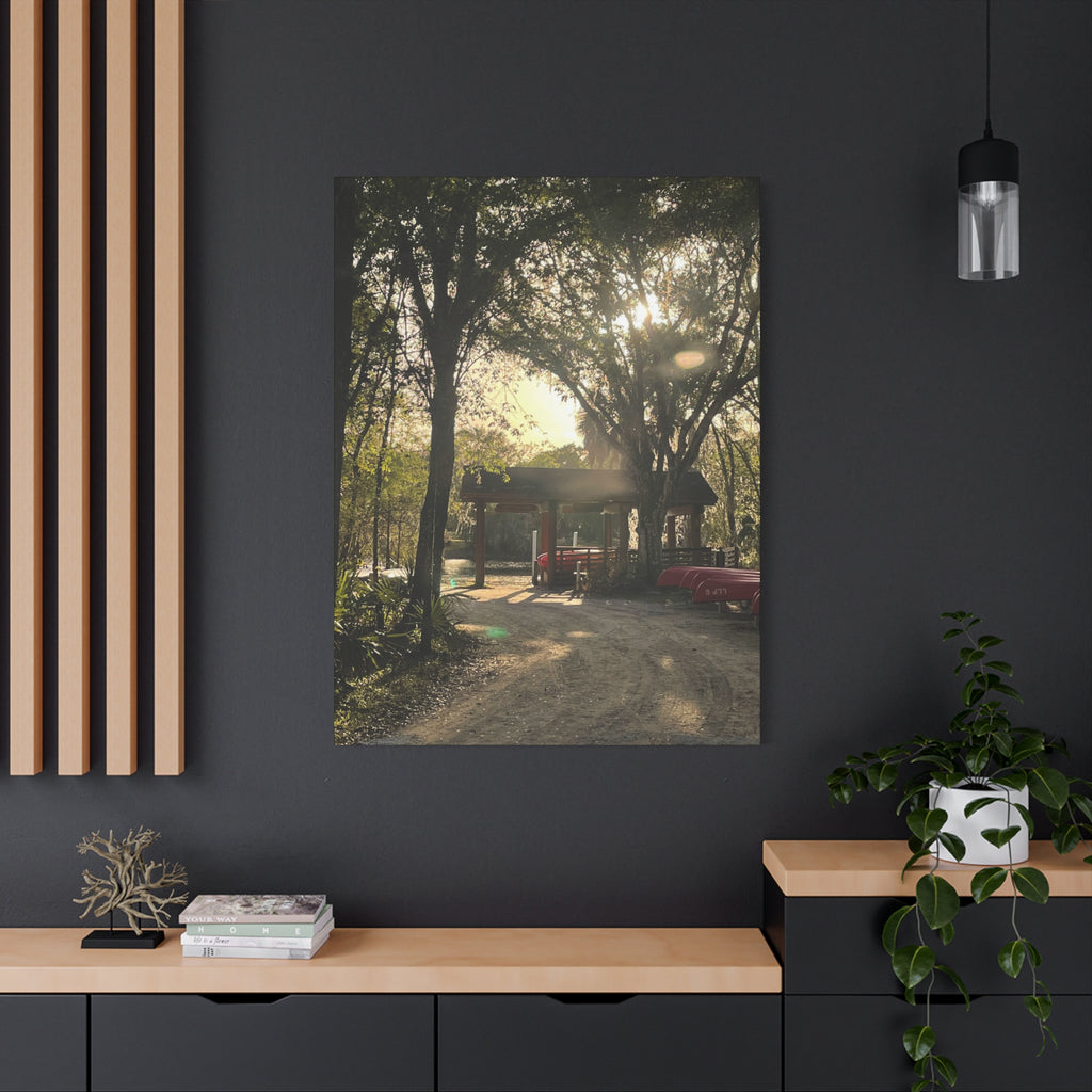 Hazy Morning Kayak - Sunlit Forest Matte Stretched Wall Art