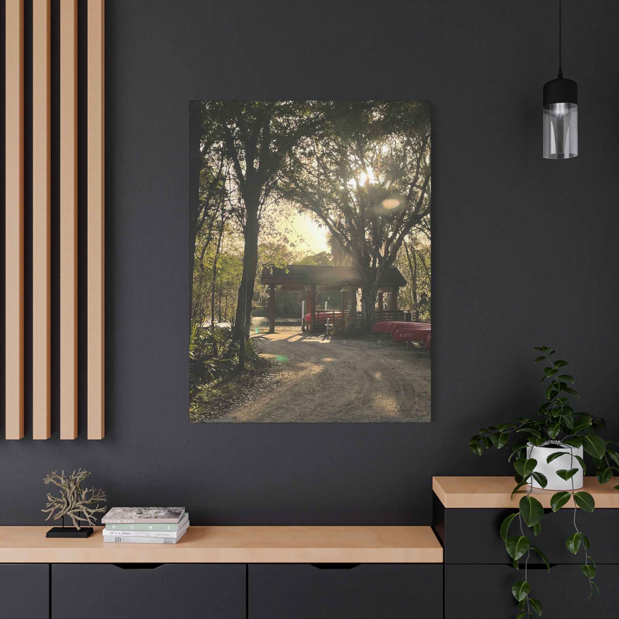 Hazy Morning Kayak - Sunlit Forest Matte Stretched Wall Art