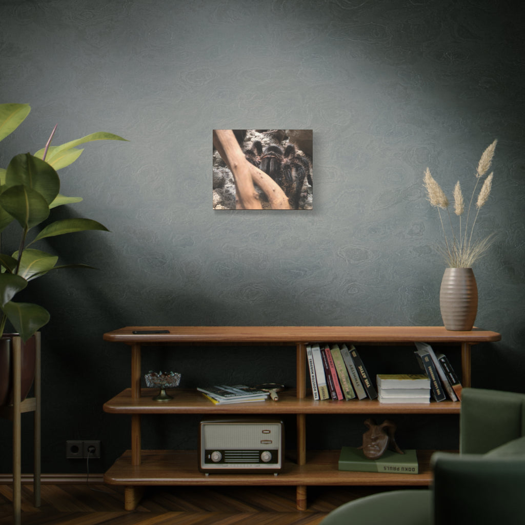 Tarantula Staredown Matte Canvas Print — Naturalistic Arachnid Wall Art