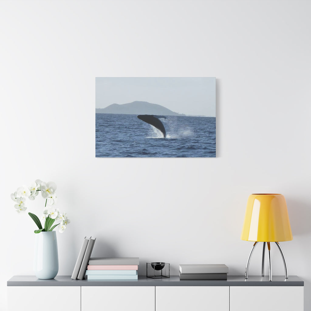 Humpback Whale Breach Matte Canvas Wall Art