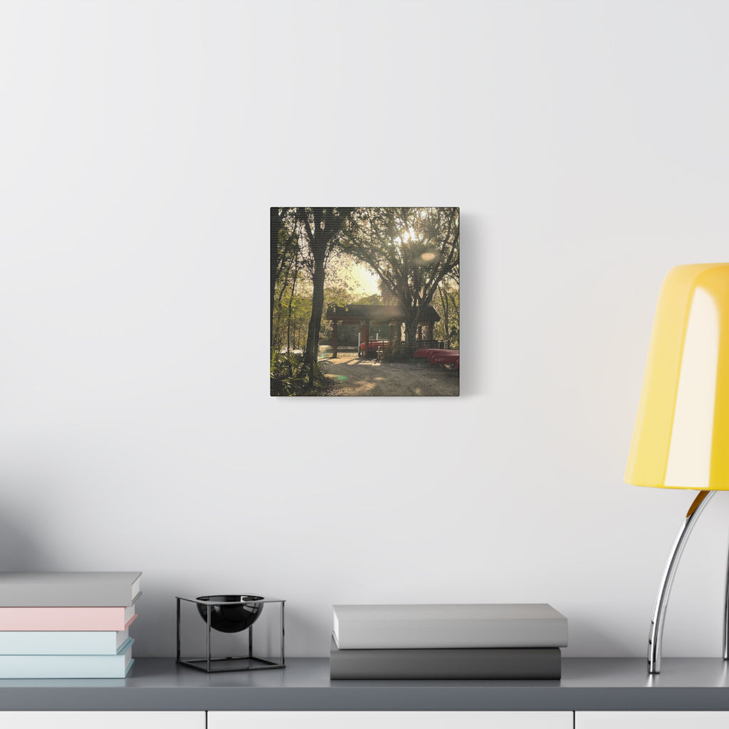Hazy Morning Kayak - Sunlit Forest Matte Stretched Wall Art