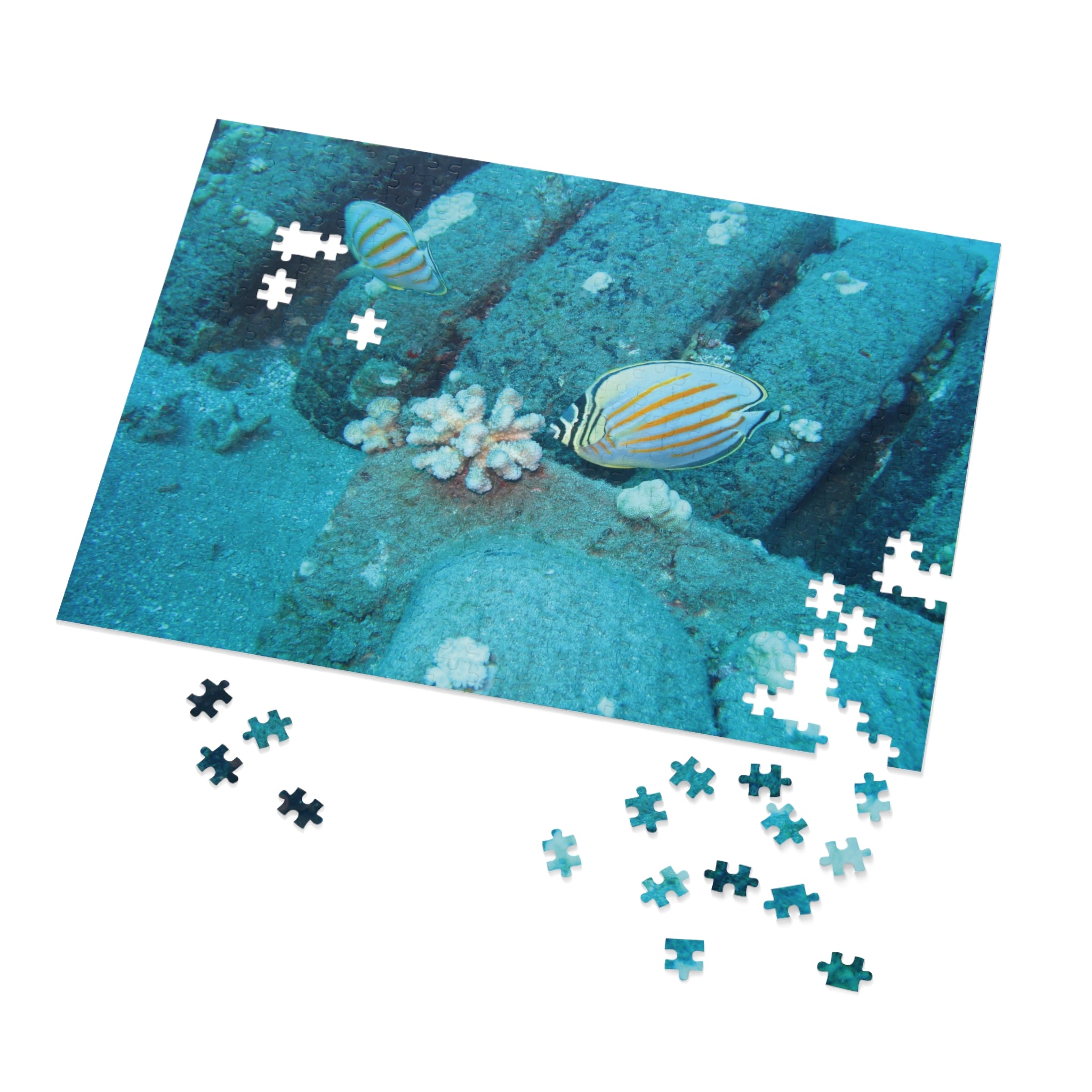 Underwater Butterflyfish Jigsaw Puzzle with Tin – Ocean Coral Reef