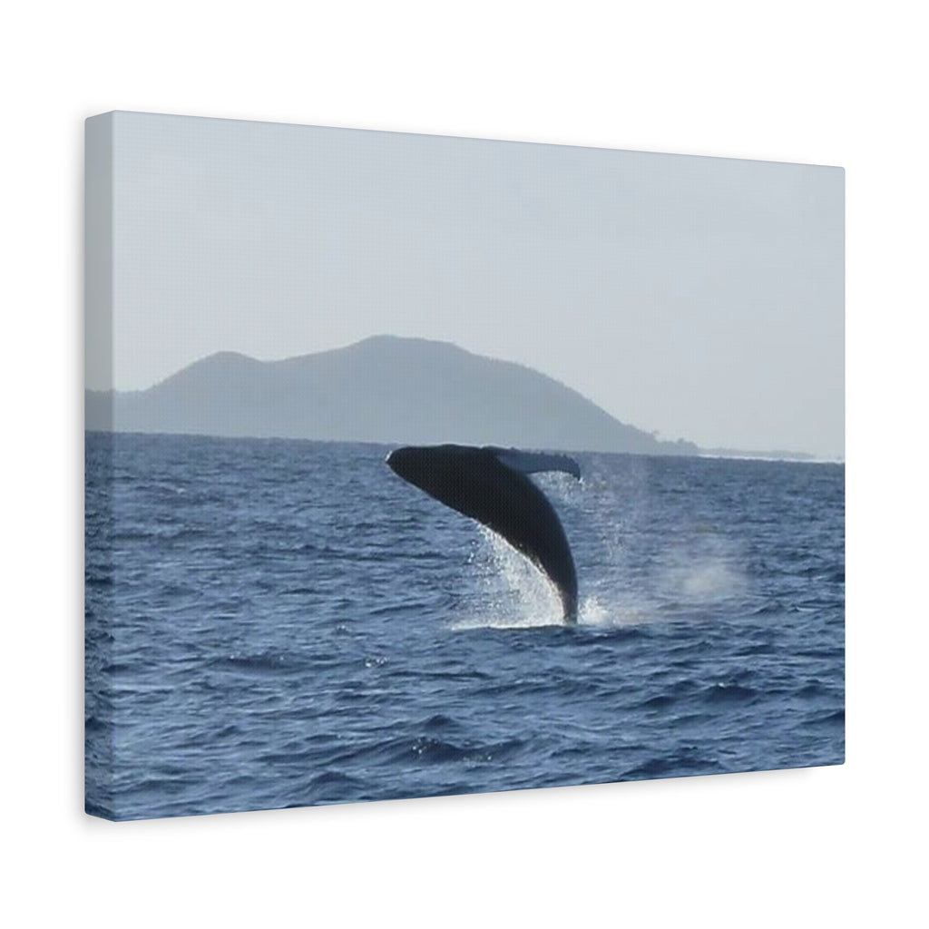 Humpback Whale Breach Matte Canvas Wall Art