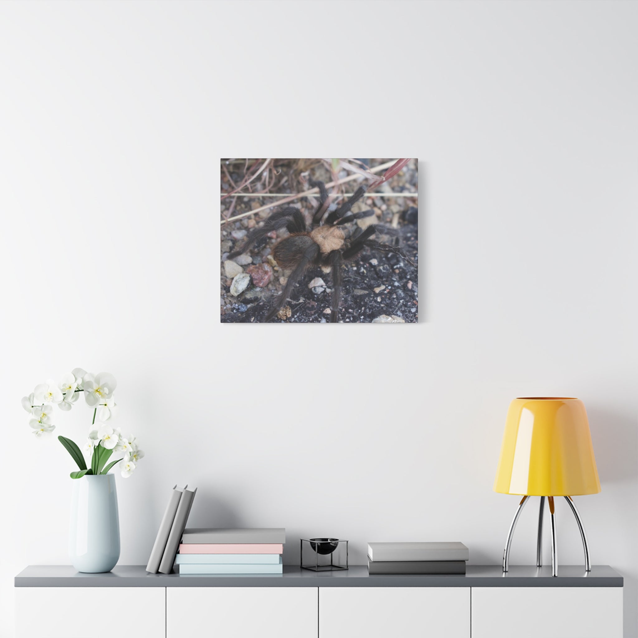 Tarantula Canvas Print — Matte Stretched Wall Art
