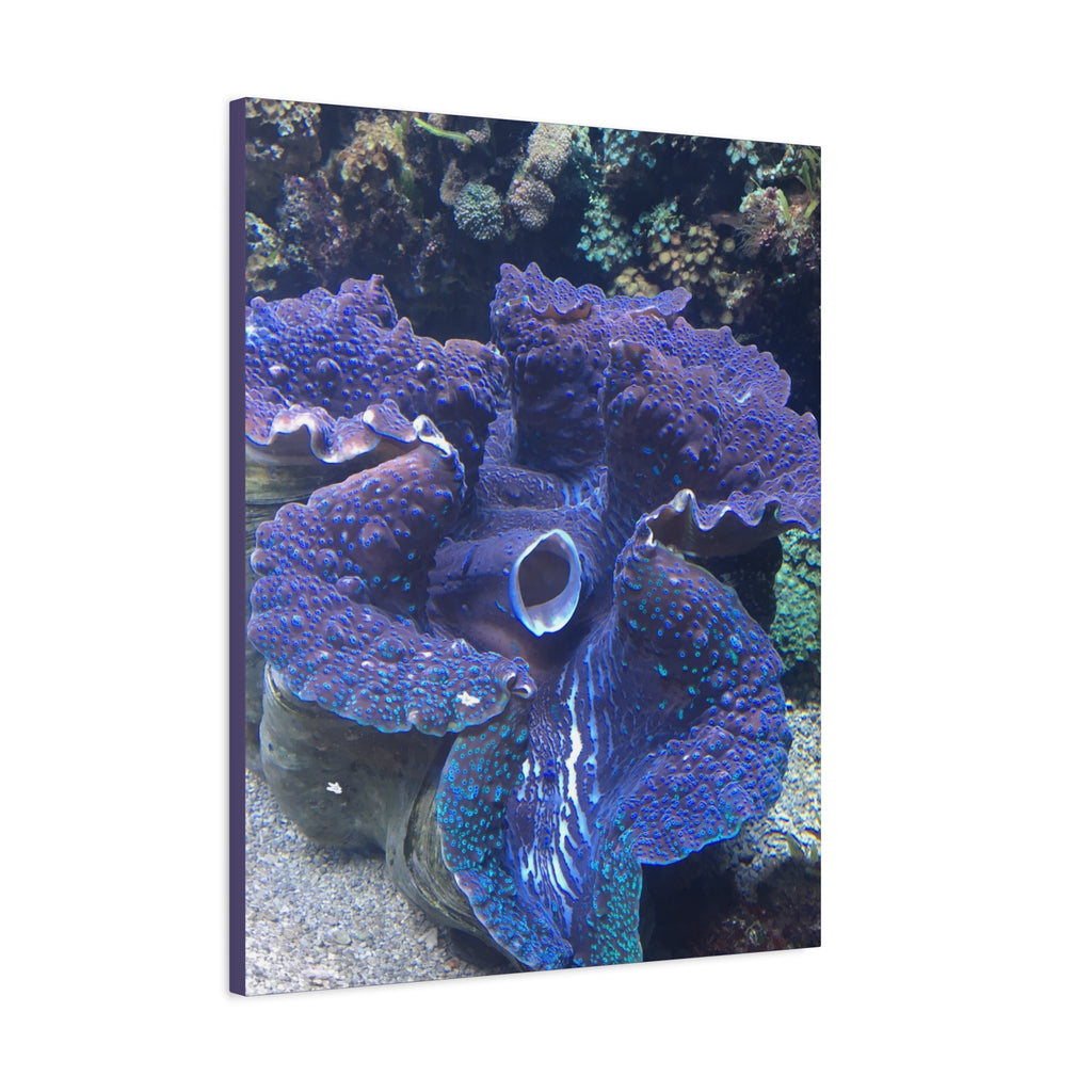 Blue Tridacna Clam Matte Canvas Print — Vibrant Ocean Coral Wall Art