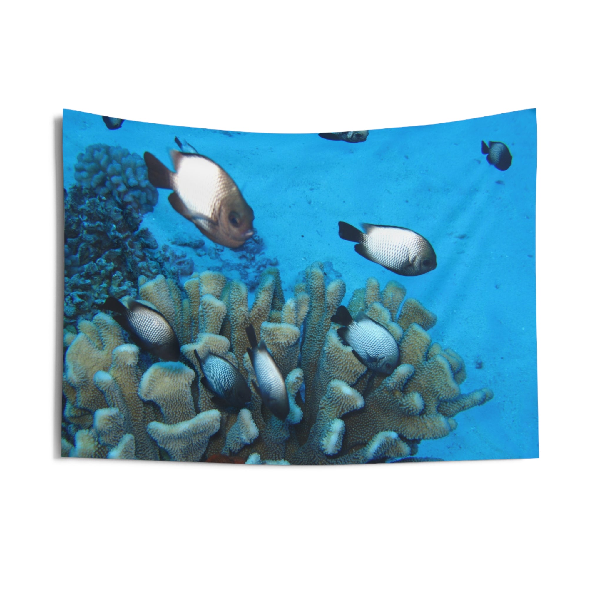 Underwater Reef Wall Tapestry — Tropical Fish Ocean Decor