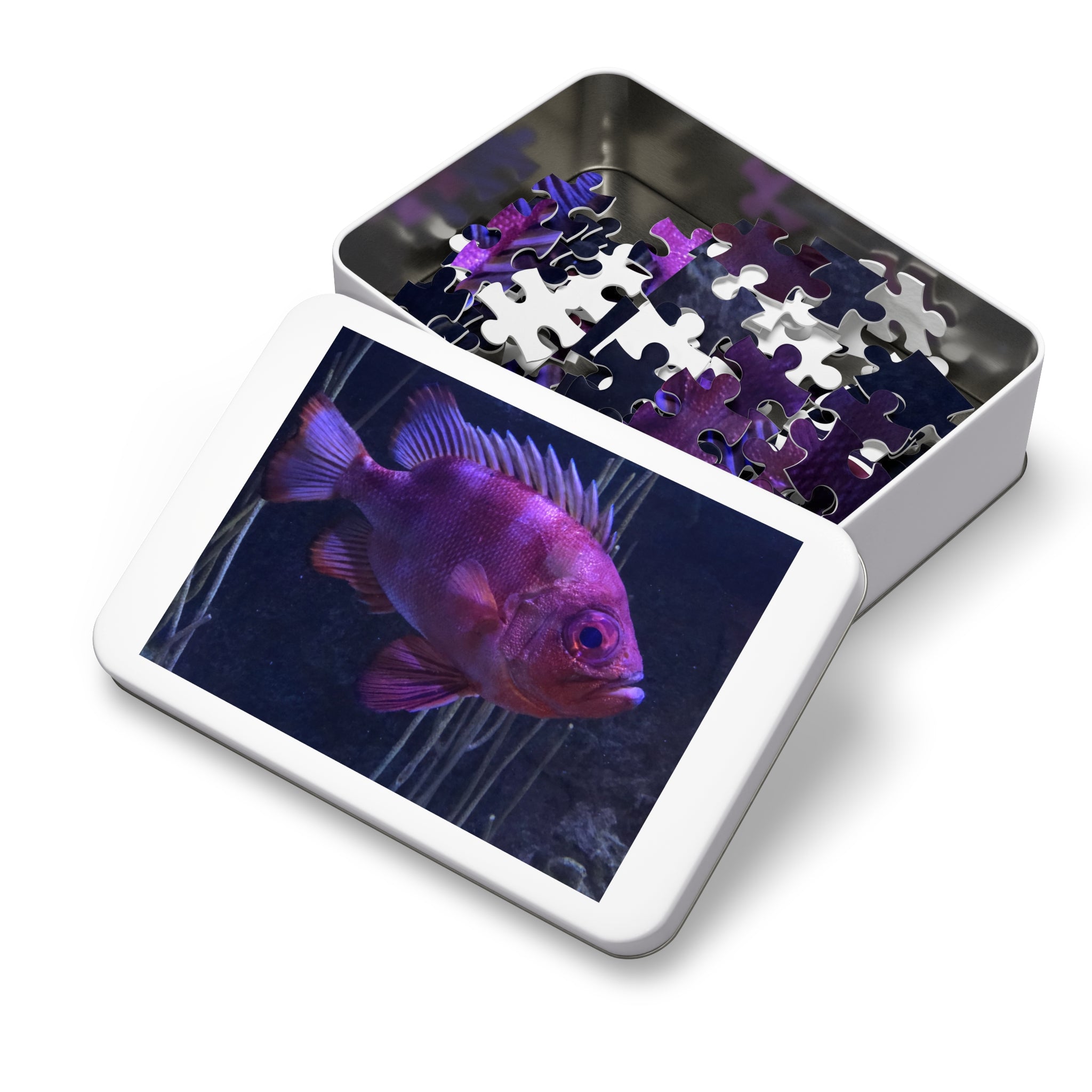 Popeye Catalufa Jigsaw Puzzle — Fish Puzzle with Tin Gift Box