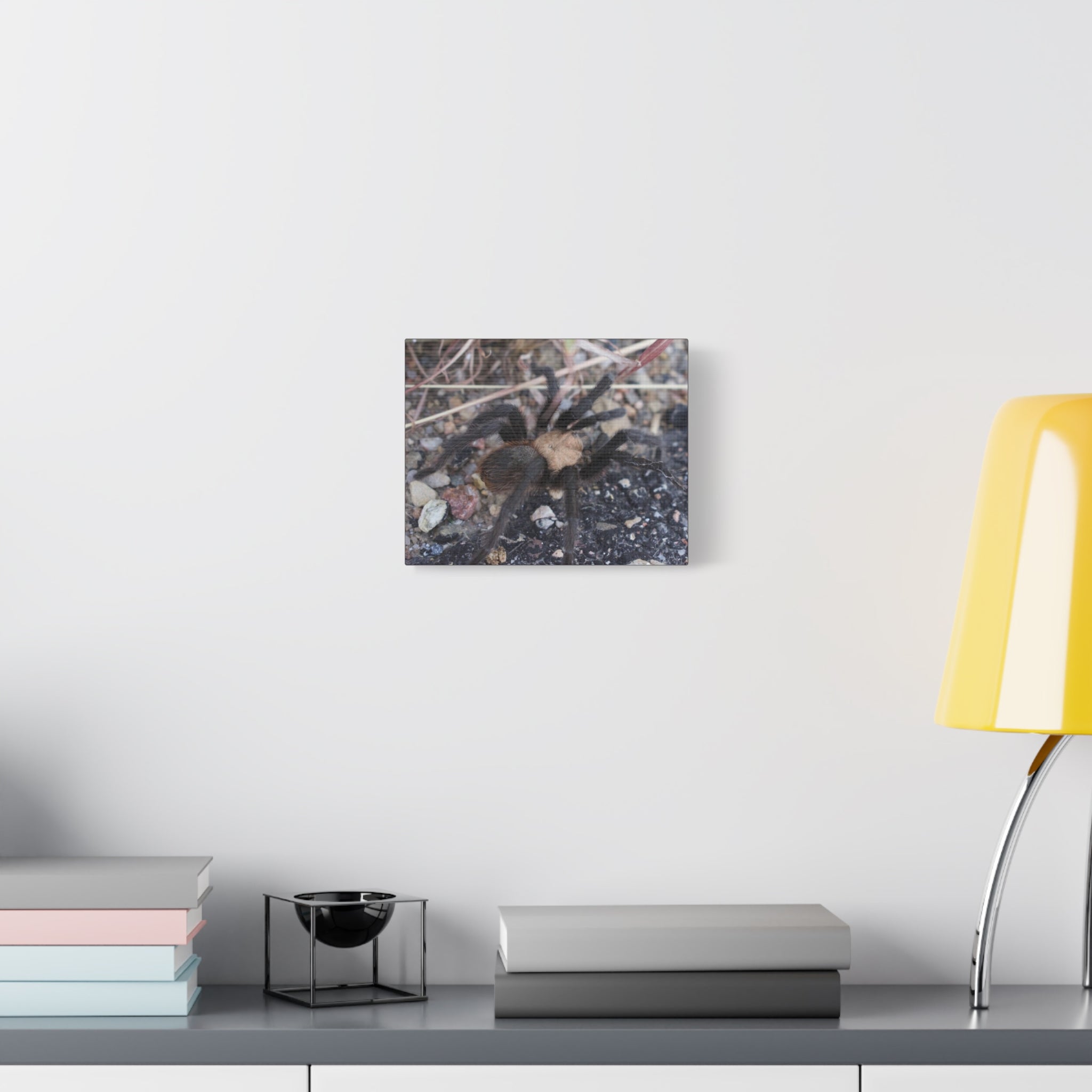 Tarantula Canvas Print — Matte Stretched Wall Art