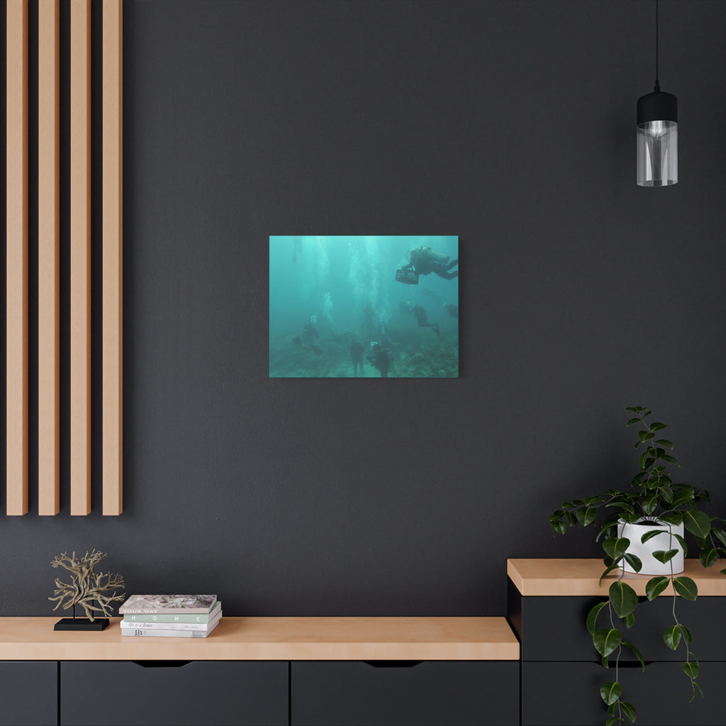 Diving over the Reef Matte Canvas