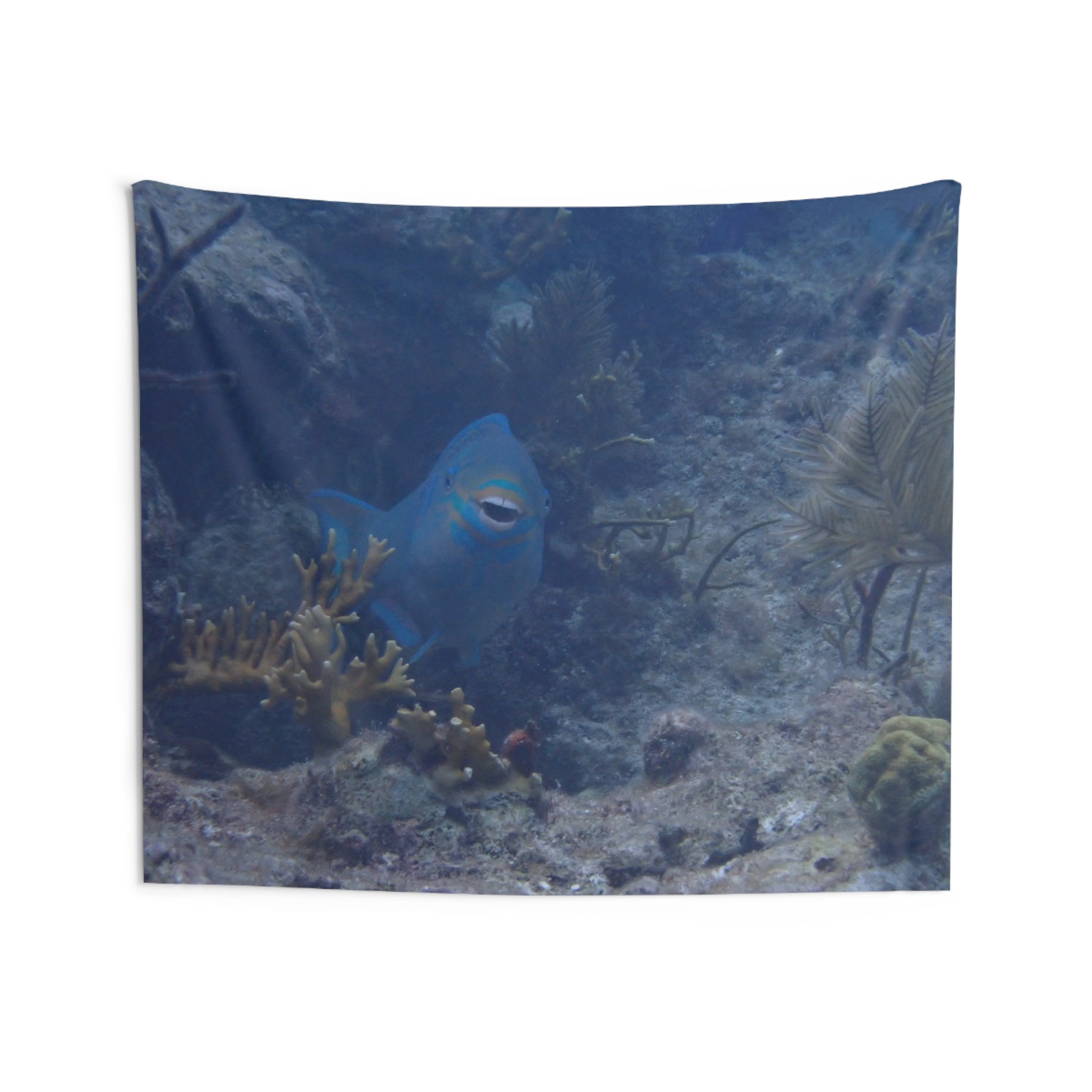 Underwater Parrotfish Wall Tapestry — Ocean Reef Scenery Decor