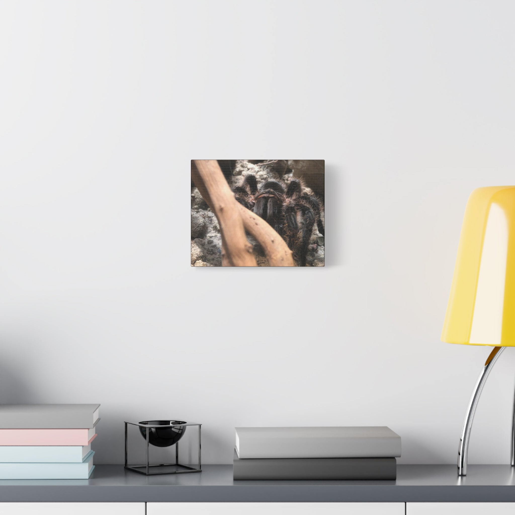 Tarantula Staredown Matte Canvas Print — Naturalistic Arachnid Wall Art