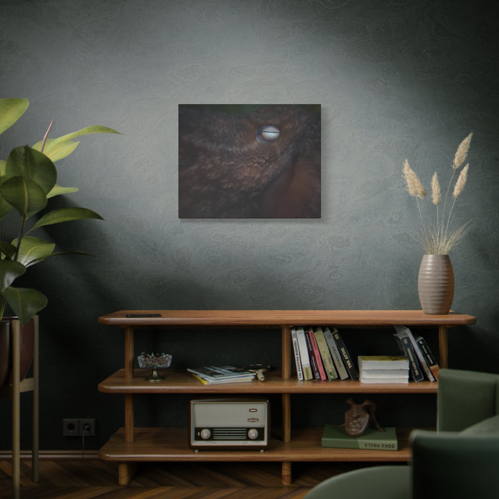 Octopus Eye Matte Canvas Print — Deep Sea Photography Wall Art