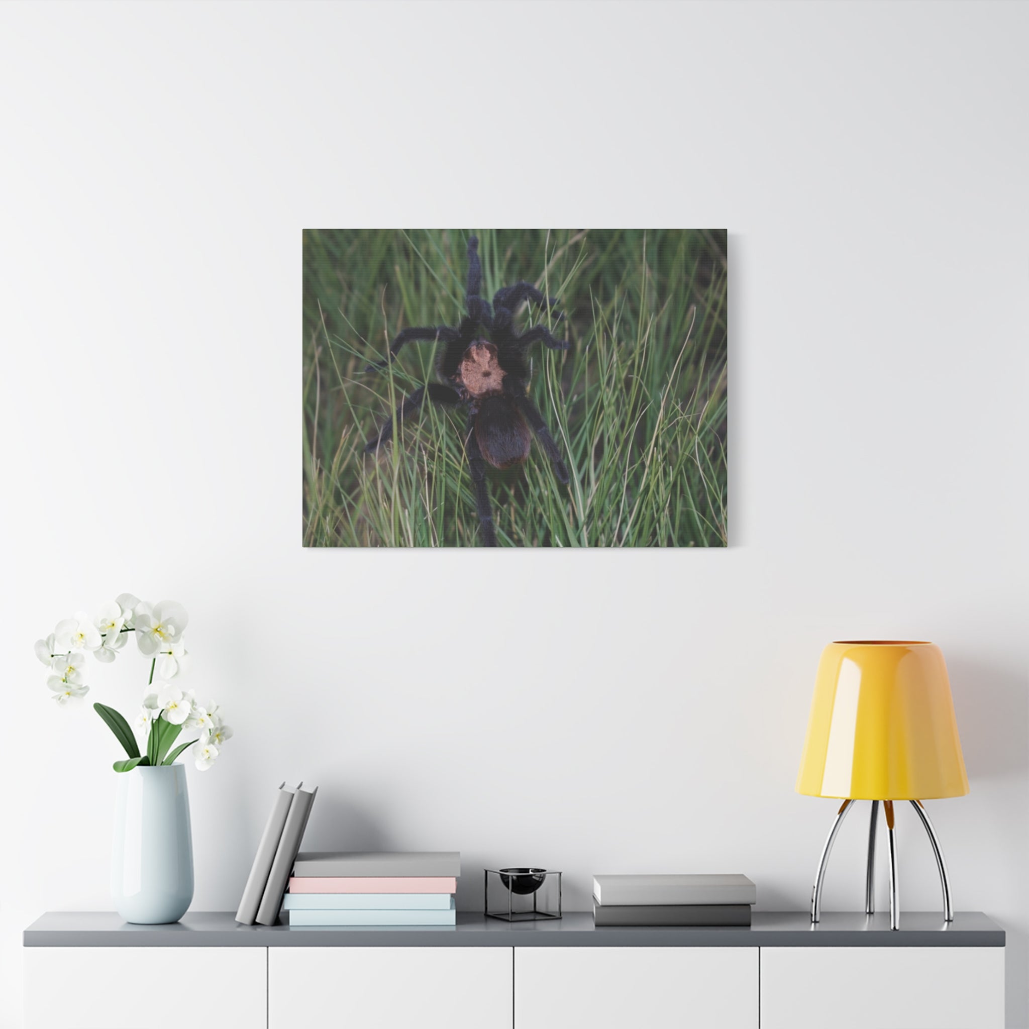 Roaming Tarantula Wall Art Canvas - Realistic Spider Photography on Matte Stretched Canvas