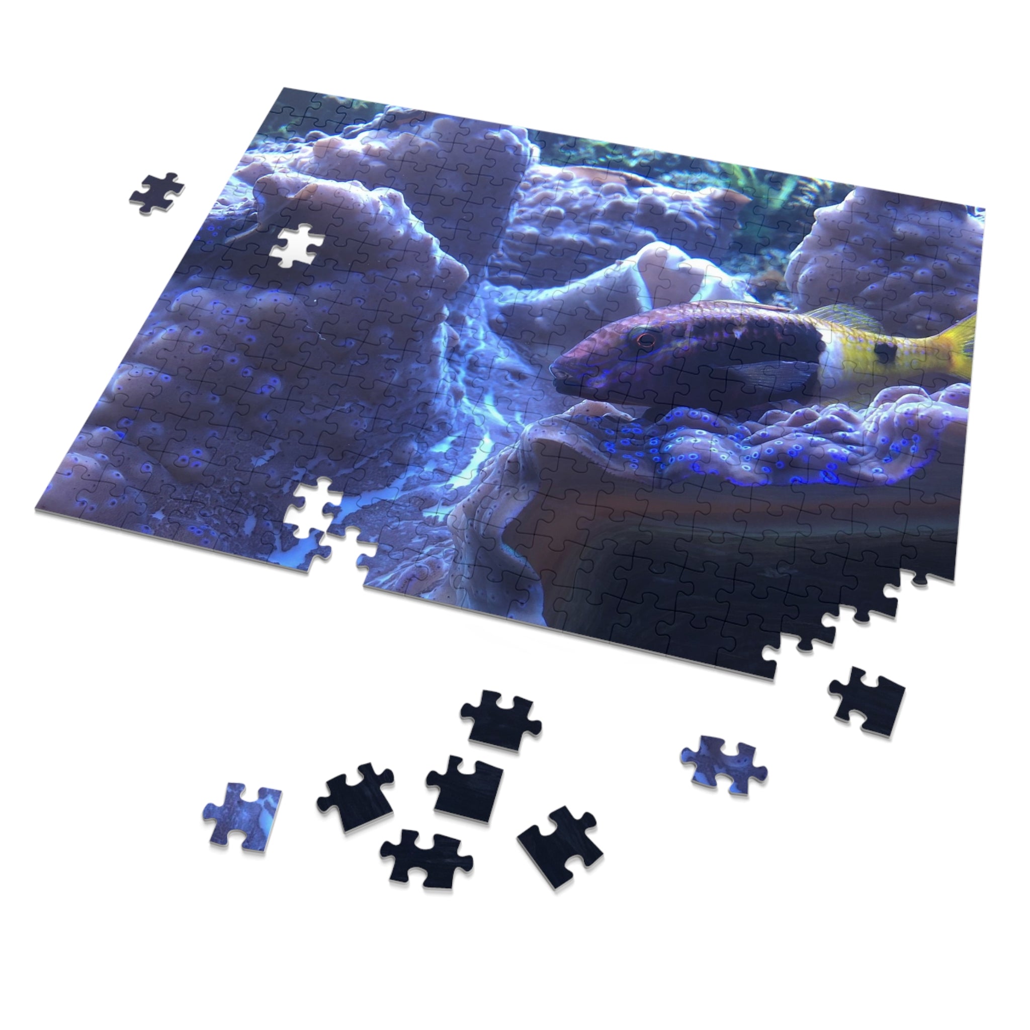 Giant Clam Reef Puzzle — Colorful Jigsaw Puzzle with Tin