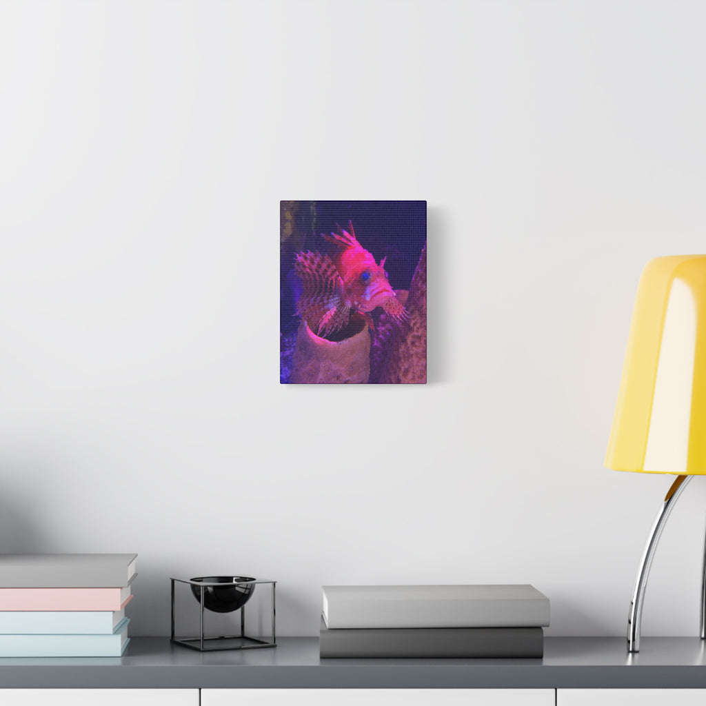 Fuzzy Dwarf Lionfish Canvas Print — Vibrant Marine Wall Art (1.25" Stretched)