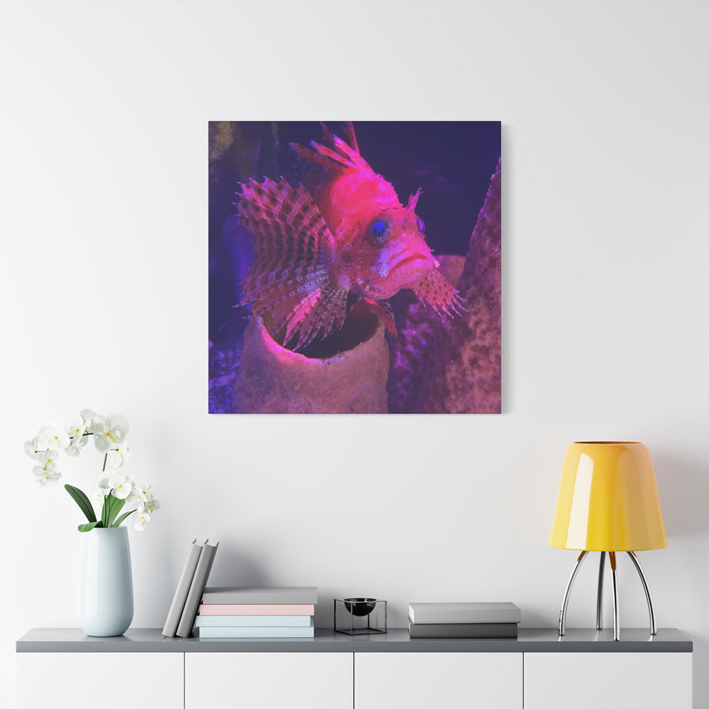 Fuzzy Dwarf Lionfish Canvas Print — Vibrant Marine Wall Art (1.25" Stretched)