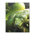 Green Tree Python Canvas Print — Tropical Snake Wall Art (Matte Stretched)