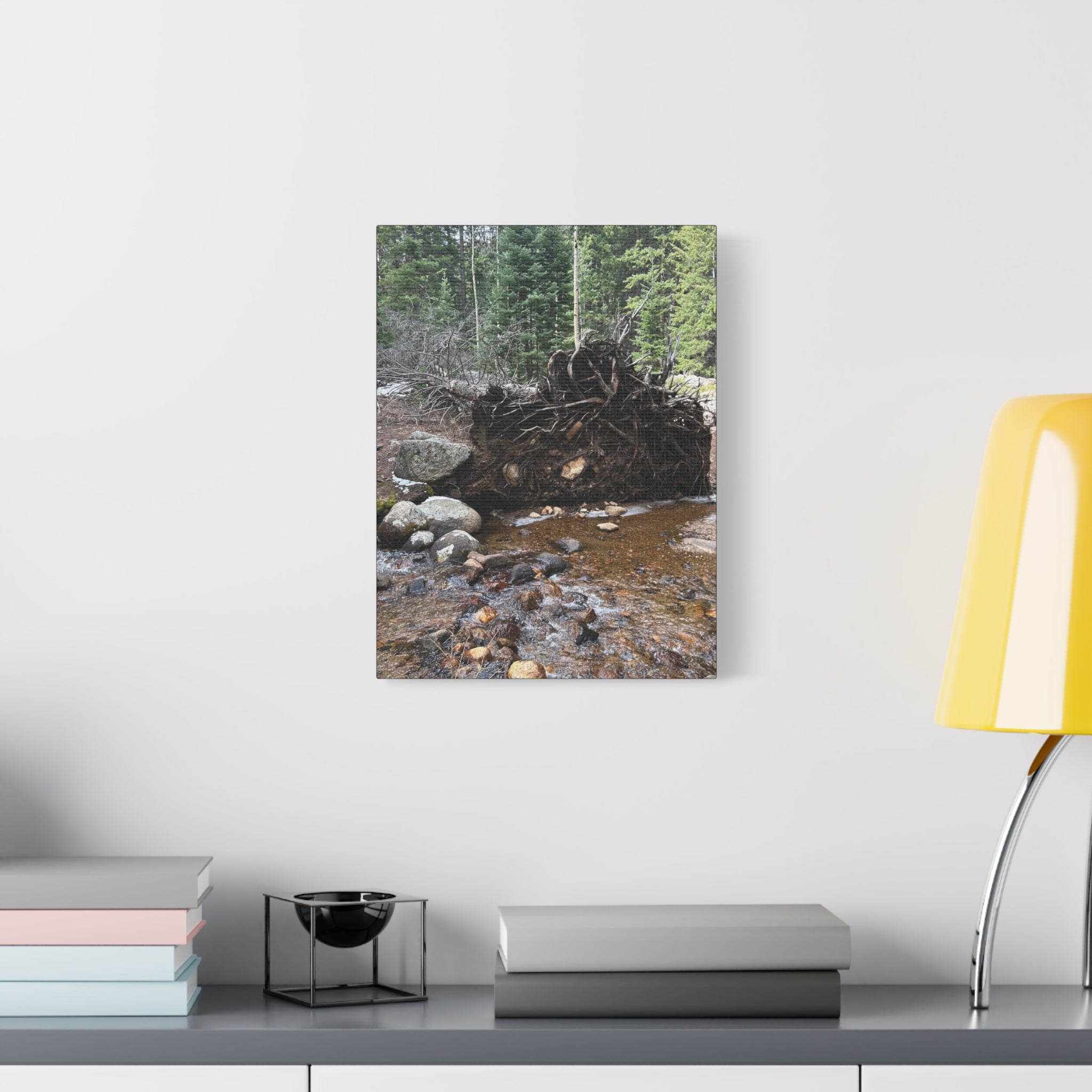 Riverbank Forest Canvas Print – Matte Stretched Wall Art (1.25")