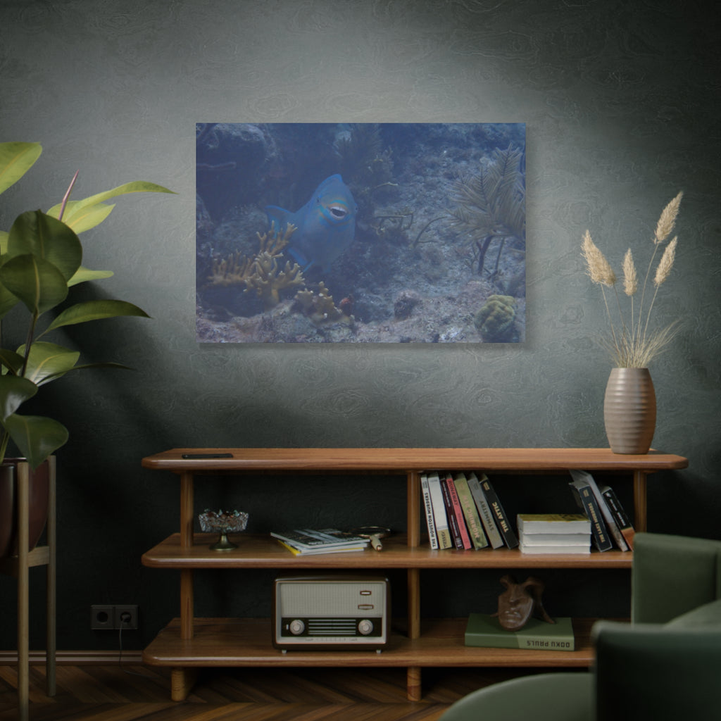 Underwater Parrotfish Canvas Print — Tropical Reef Wall Art