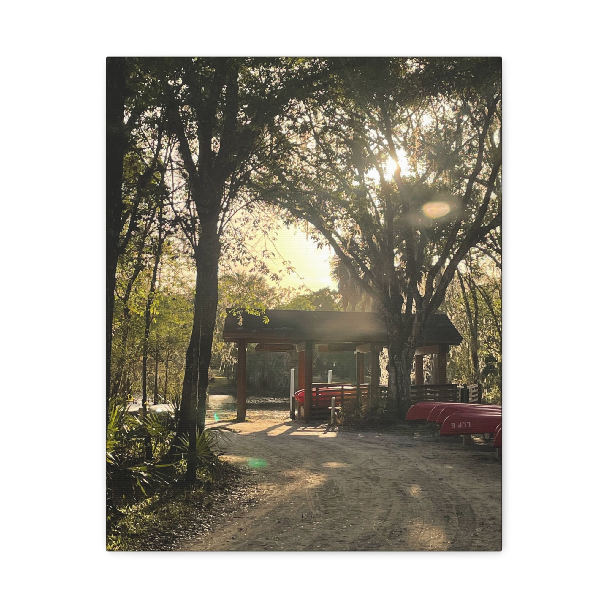 Hazy Morning Kayak - Sunlit Forest Matte Stretched Wall Art