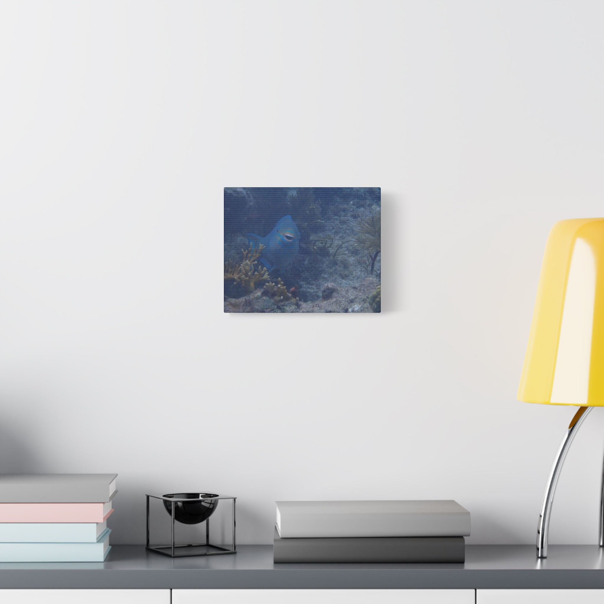 Underwater Parrotfish Canvas Print — Tropical Reef Wall Art