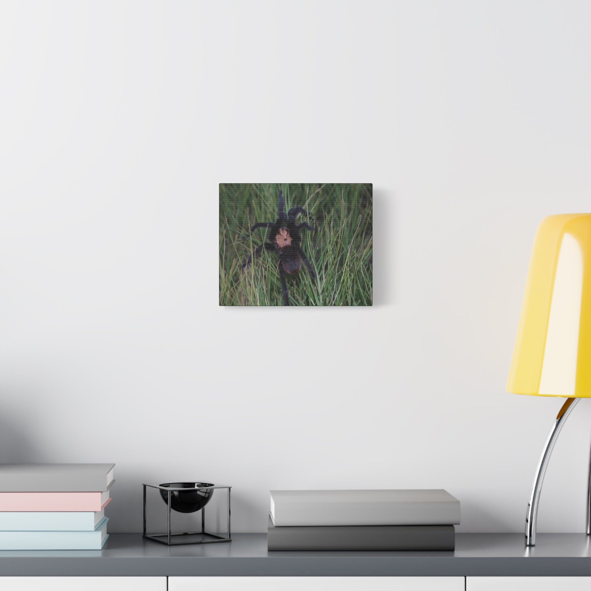 Roaming Tarantula Wall Art Canvas - Realistic Spider Photography on Matte Stretched Canvas