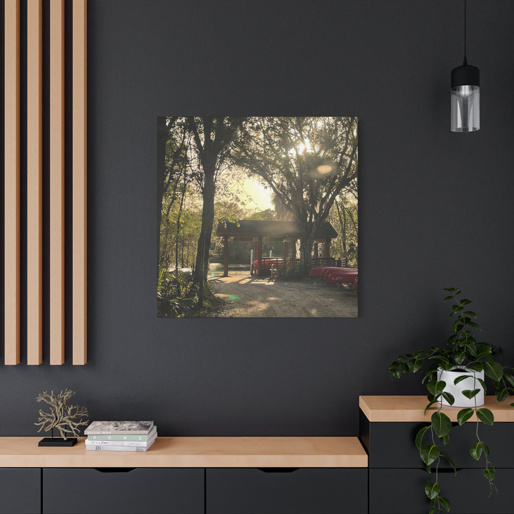 Hazy Morning Kayak - Sunlit Forest Matte Stretched Wall Art