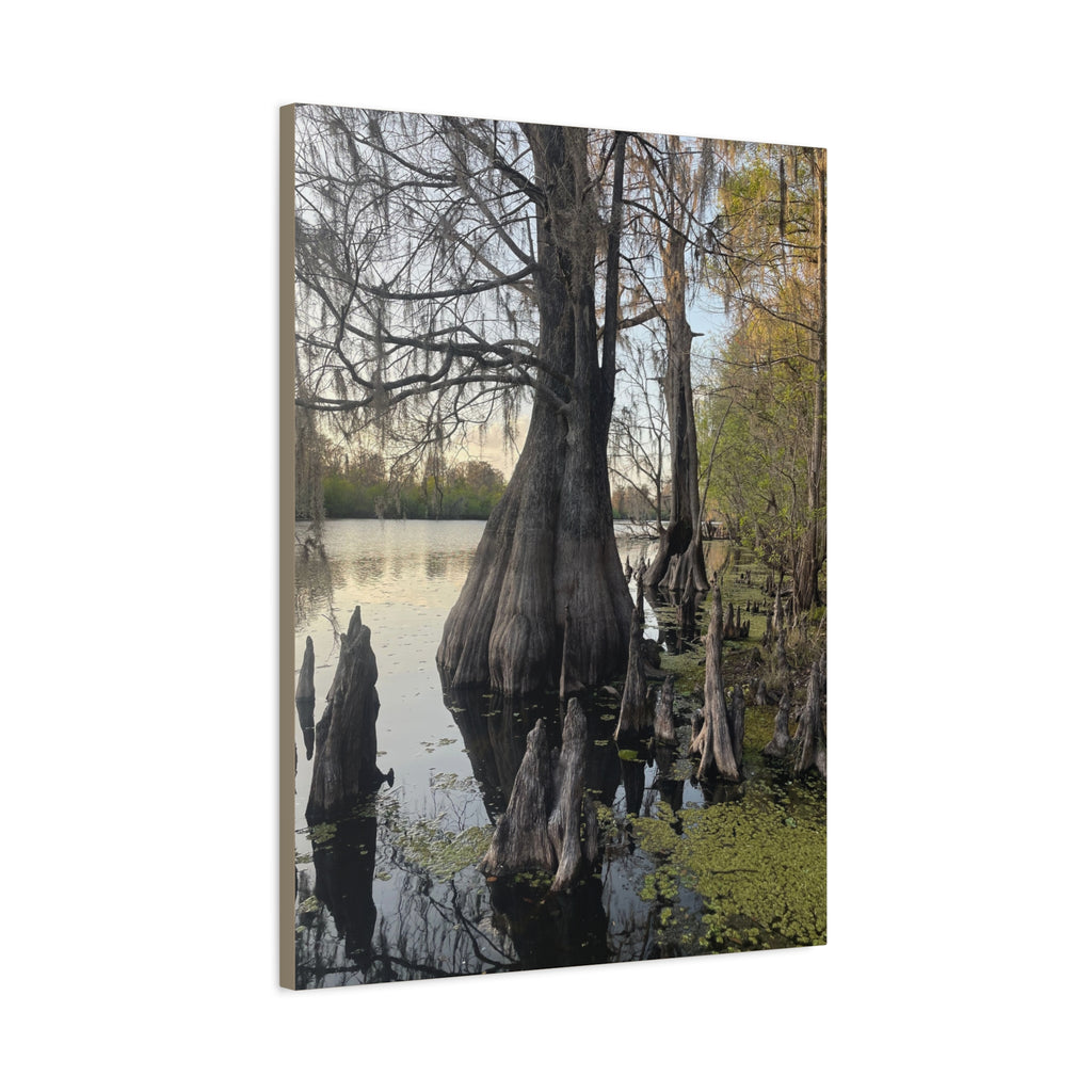 Swamp Matte Stretched Canvas