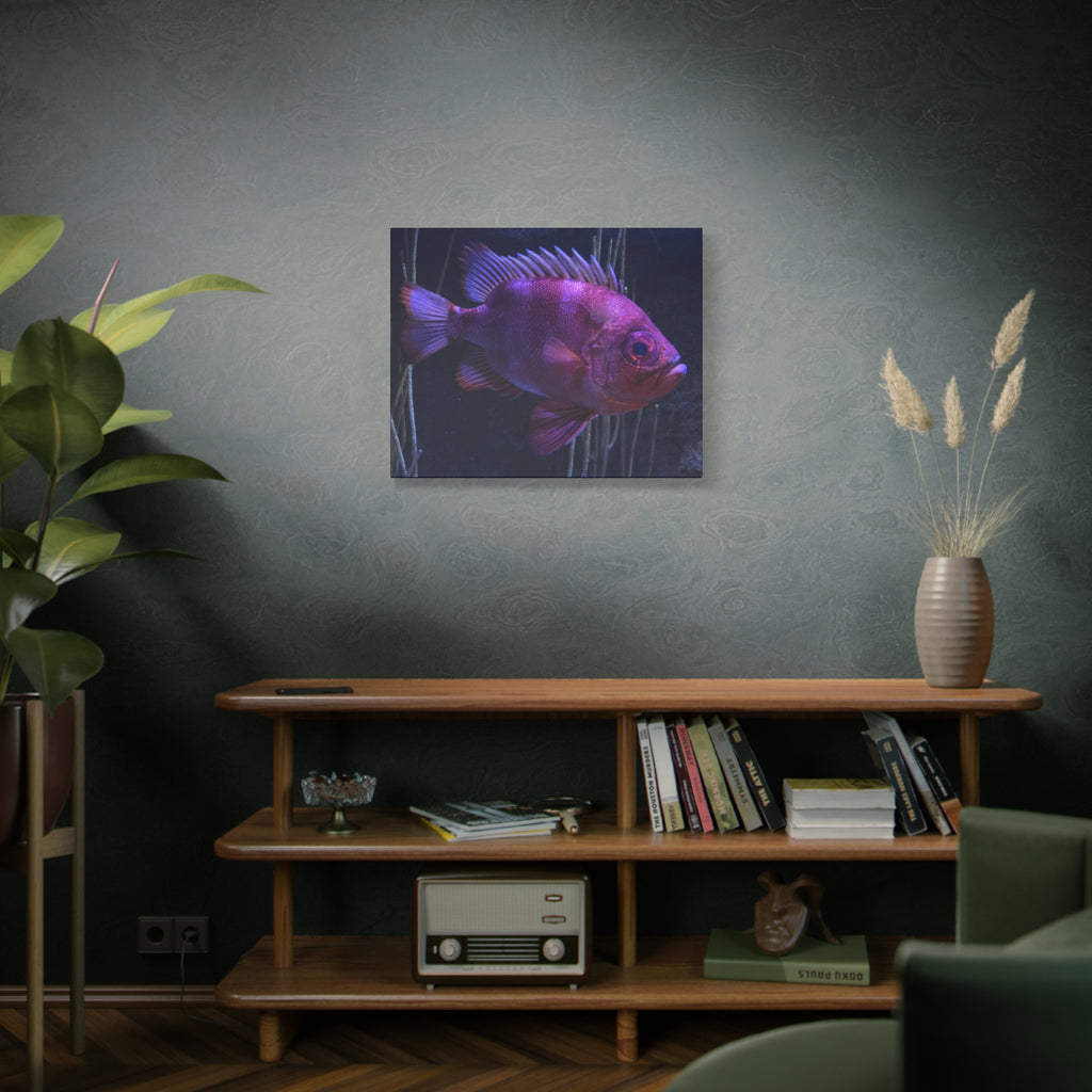 Popeye Catalufa Canvas Print — Vibrant Ocean Wall Art