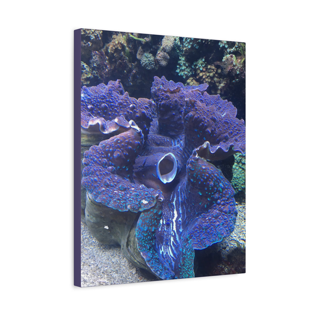 Blue Tridacna Clam Matte Canvas Print — Vibrant Ocean Coral Wall Art